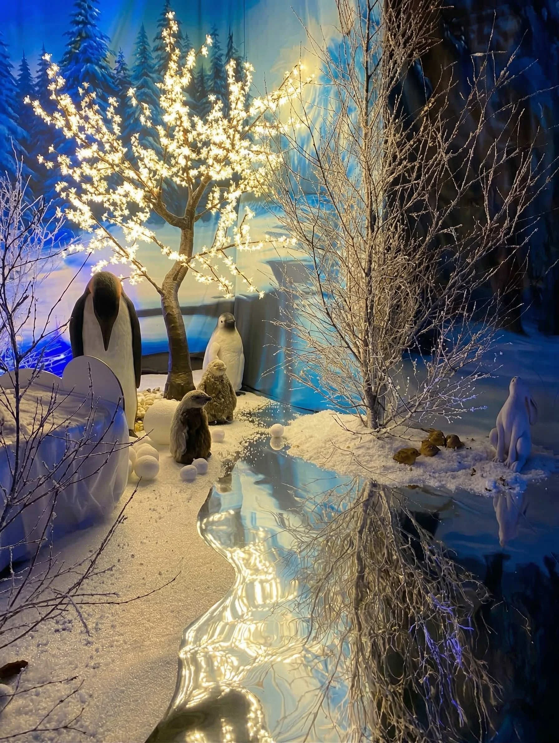 Christmas-Grotto9.jpg
