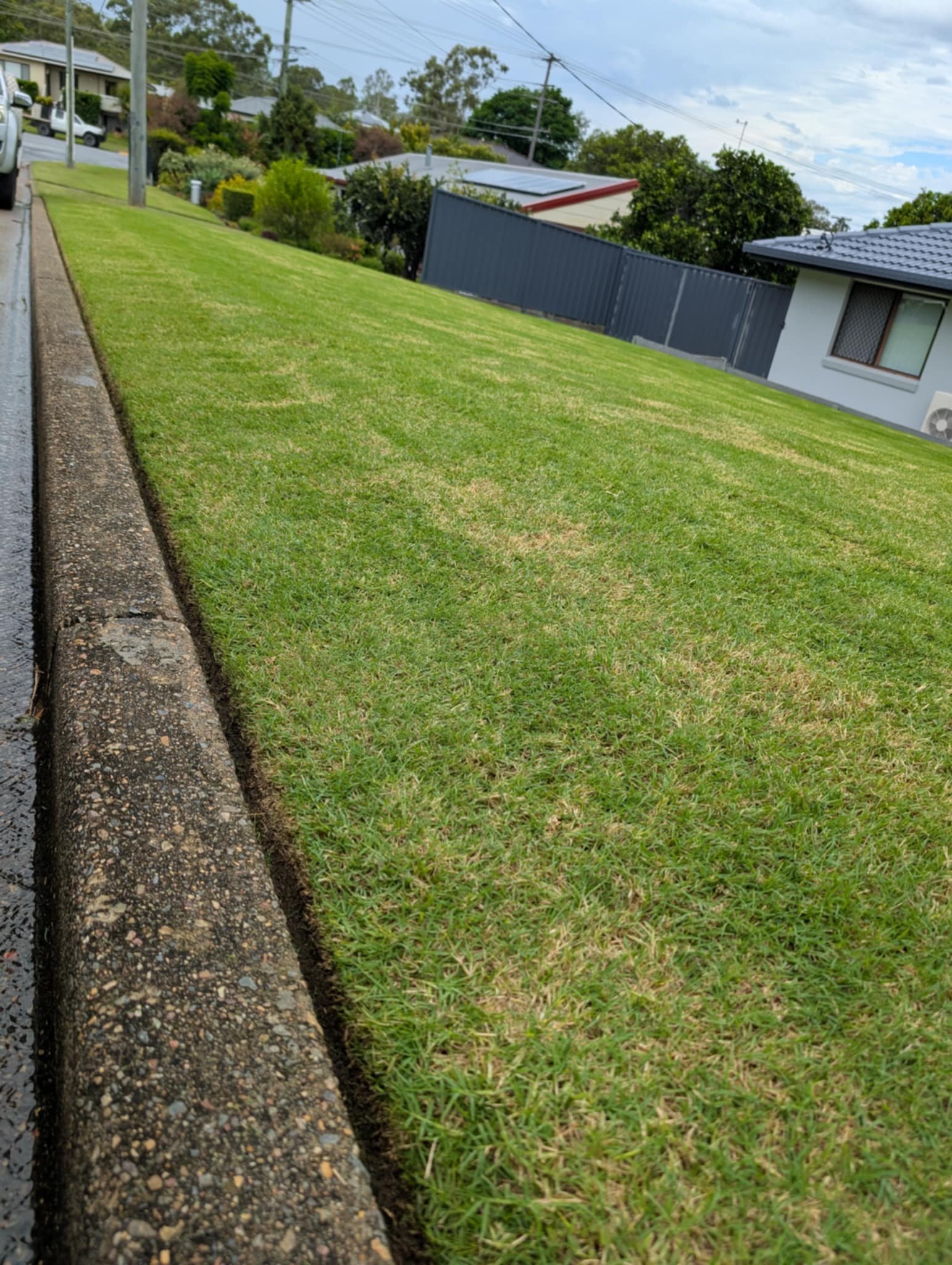 A well-maintained grassy lawn next to a concrete curb and a street. Houses and trees are visible in the background under a partly cloudy sky.