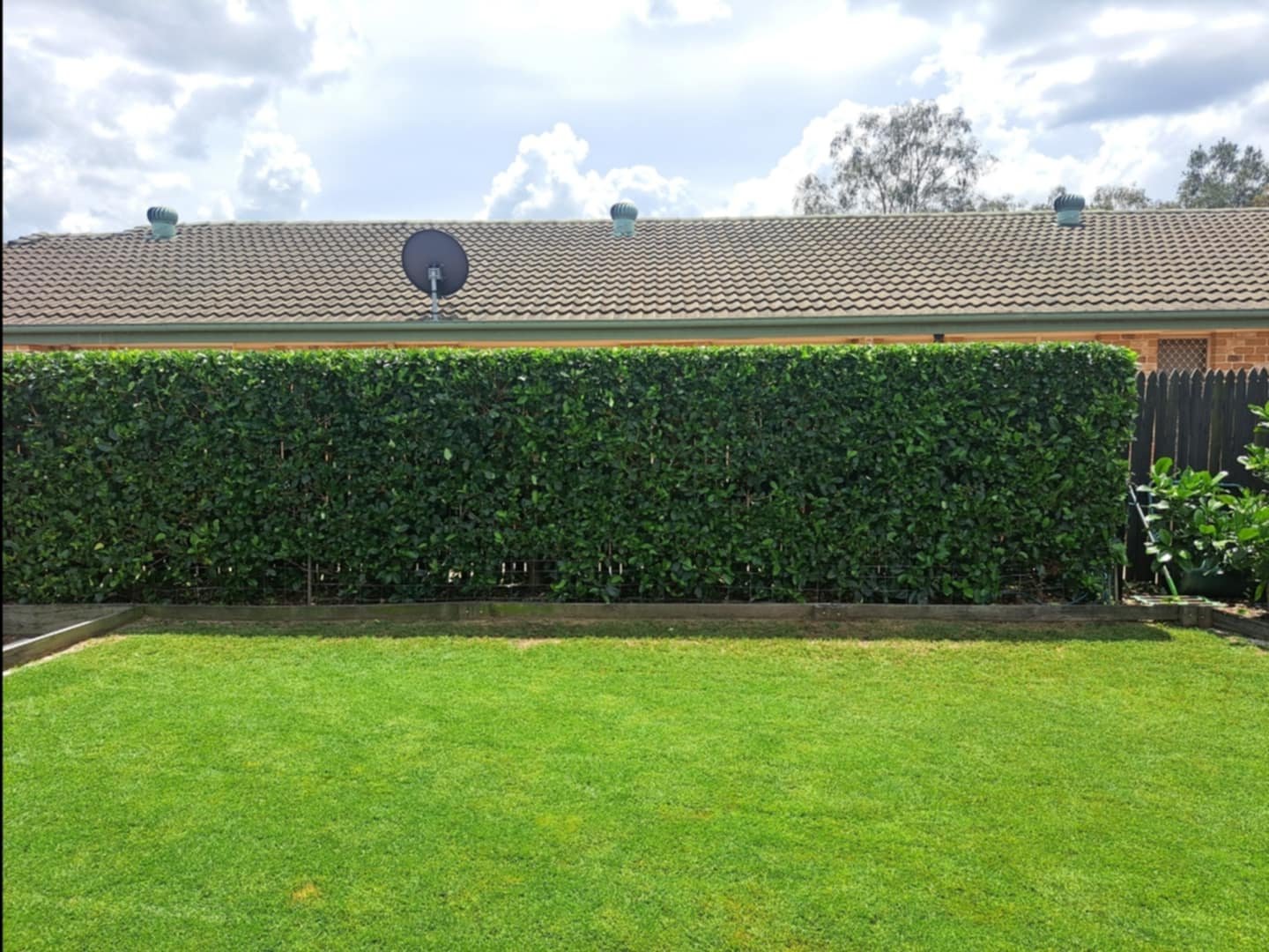 A well-maintained backyard with green grass, a tall trimmed hedge, a brick house with a tiled roof, a satellite dish, and a cloudy sky overhead.