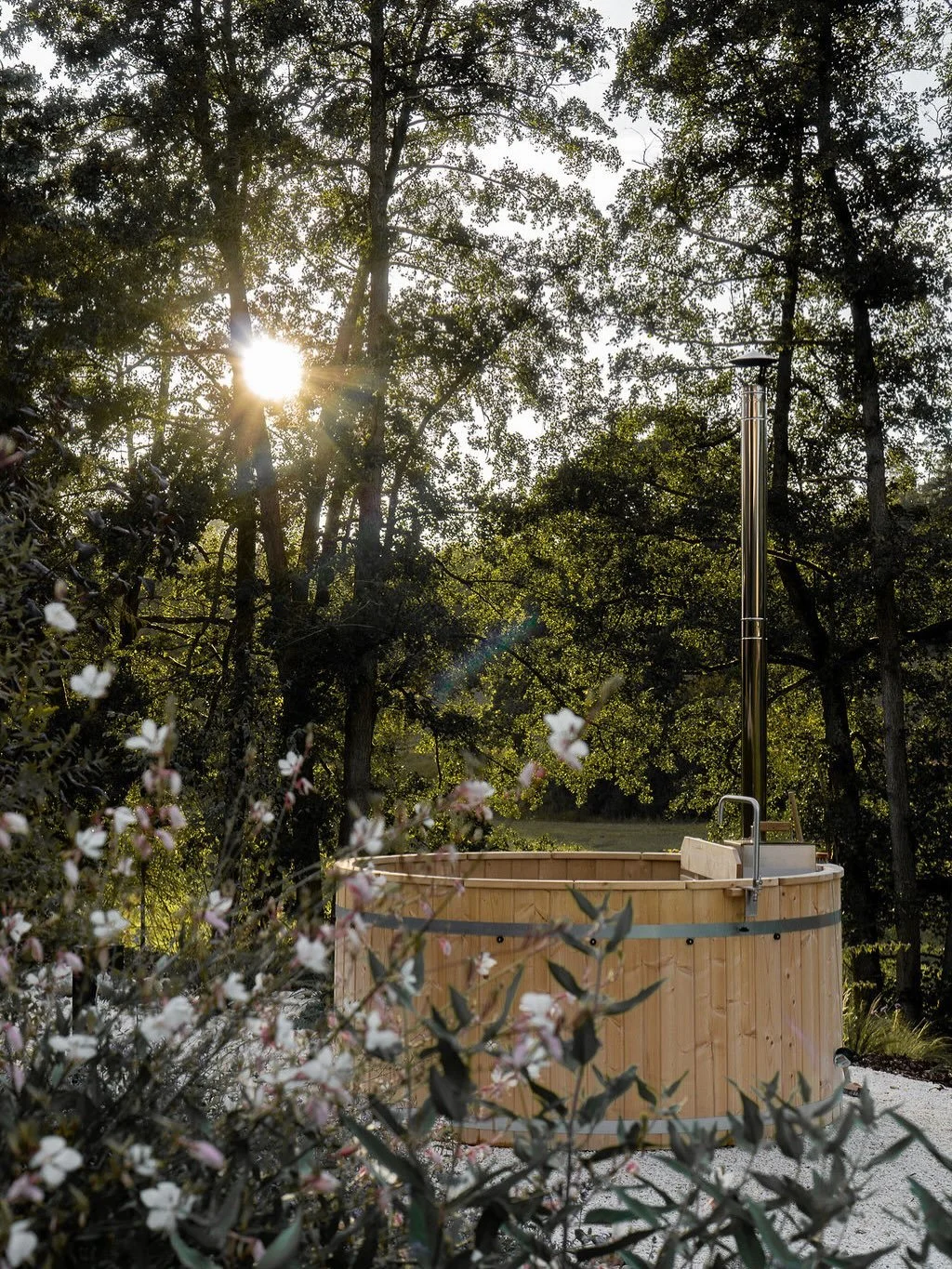 Freut ihr euch schon genauso auf den Fr&uuml;hling wie wir?
Bucht euch jetzt eure Fr&uuml;hlingsauszeit im Waldheimelig.

www.waldheimelig.de

#naturauszeit #fr&uuml;hling #fr&uuml;hlingsluft #ferieninbayern