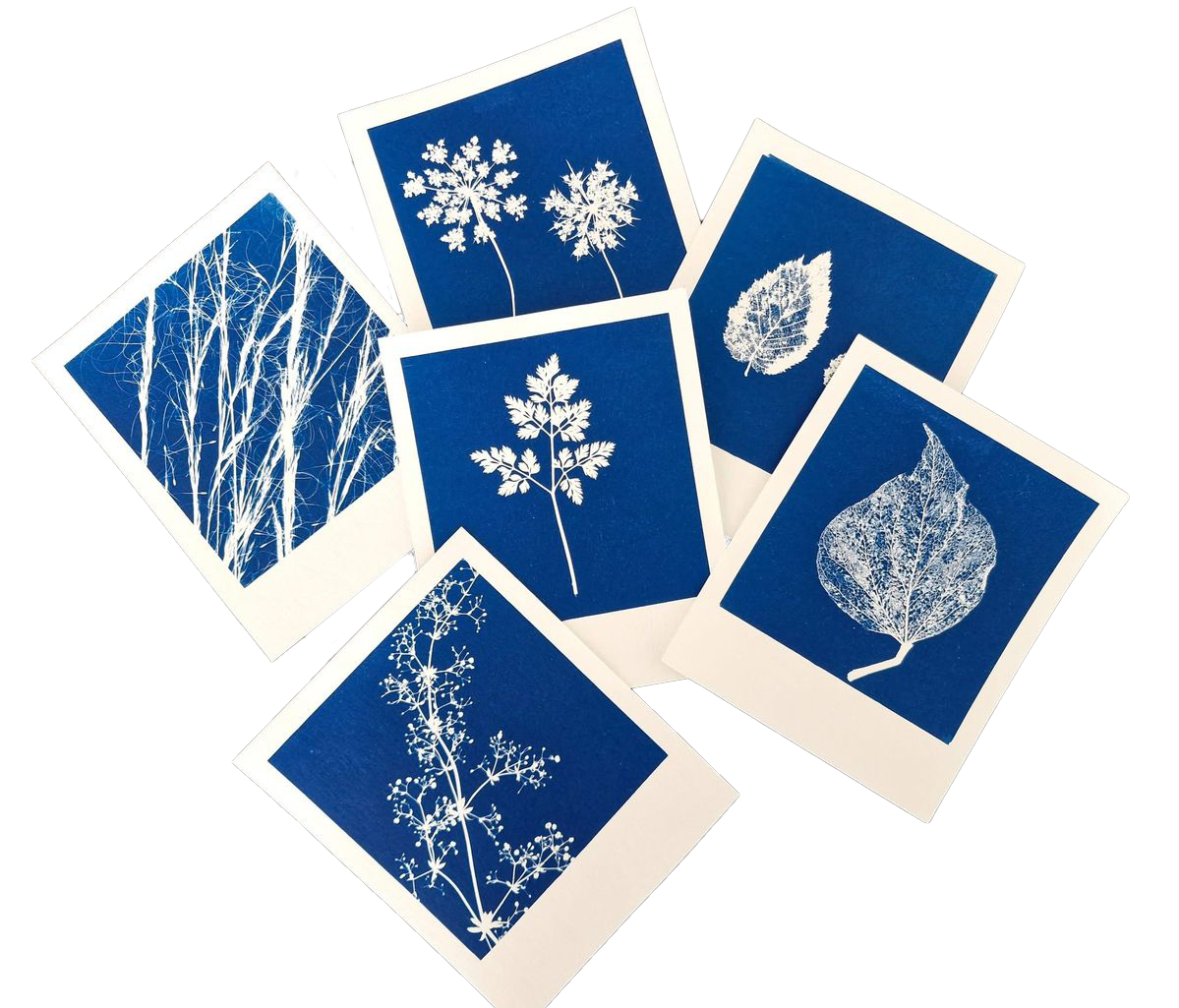 cyanotype_poastcards.png