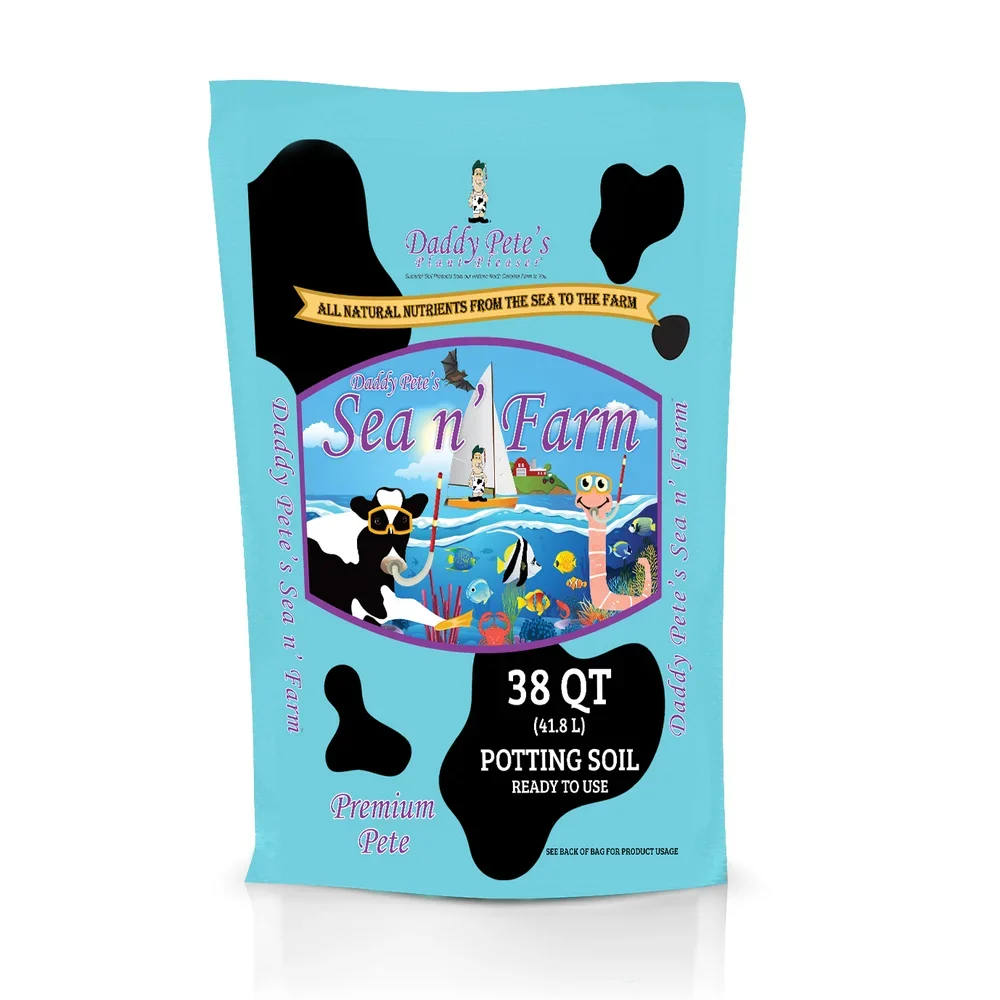 image-asset (1).webp