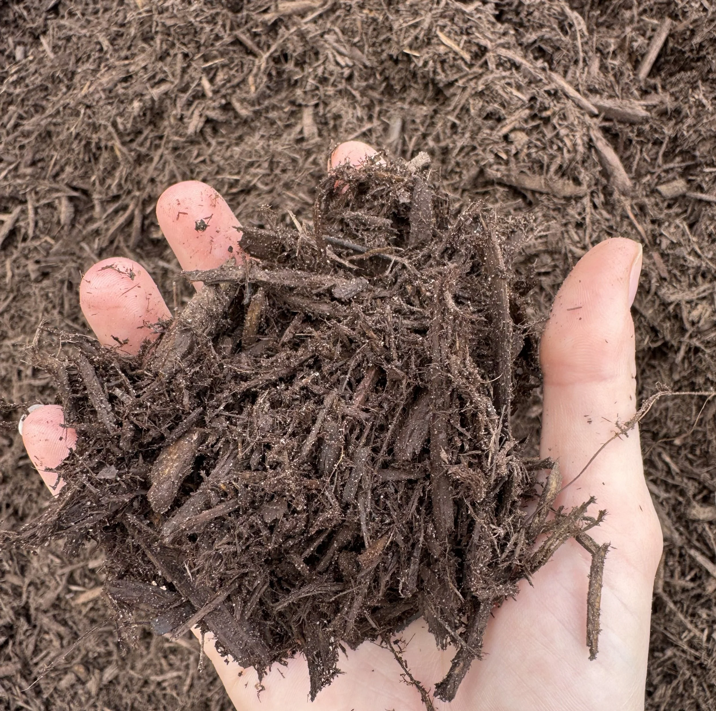 brownmulch.jpg