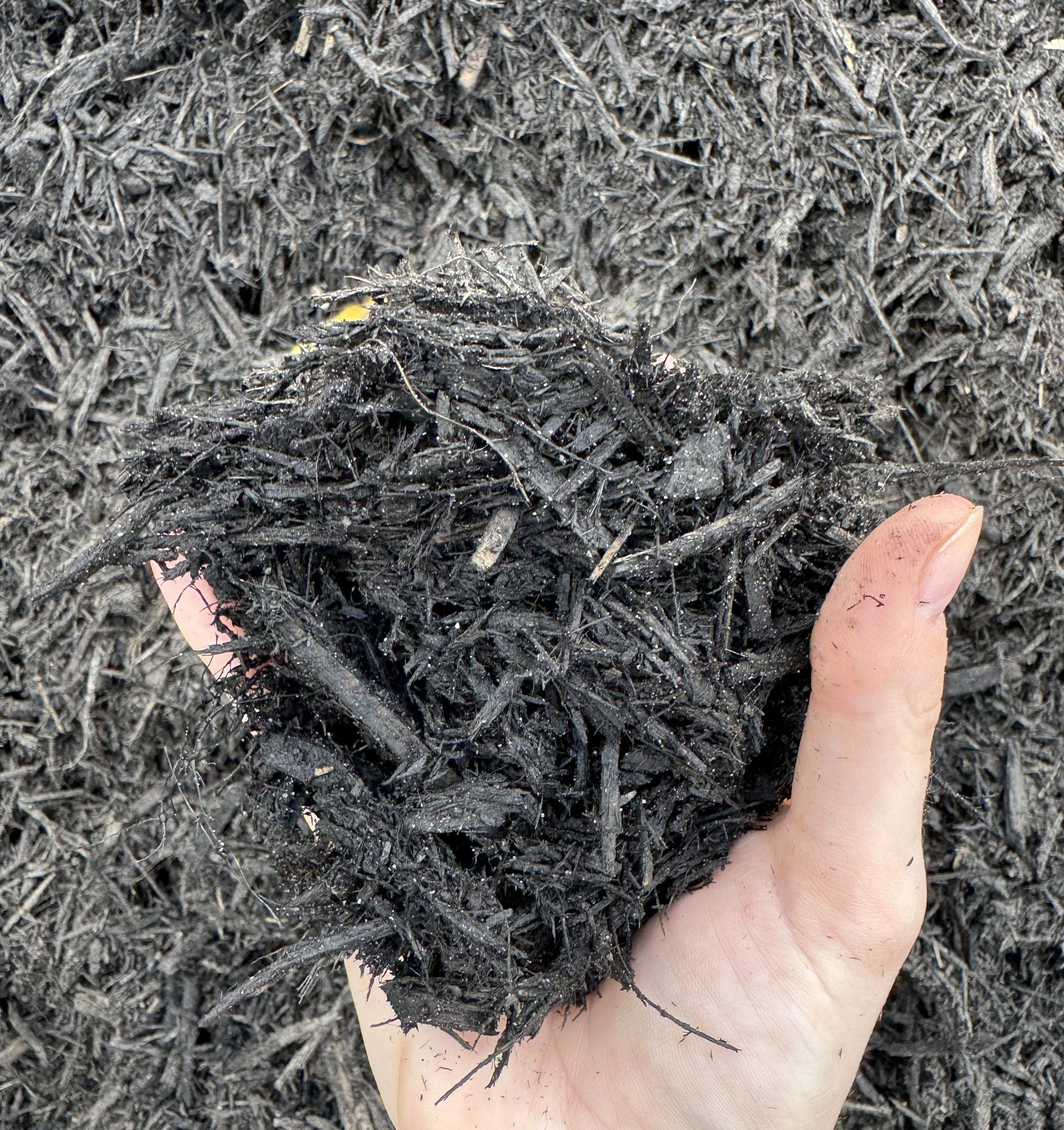 Black mulch2.jpg