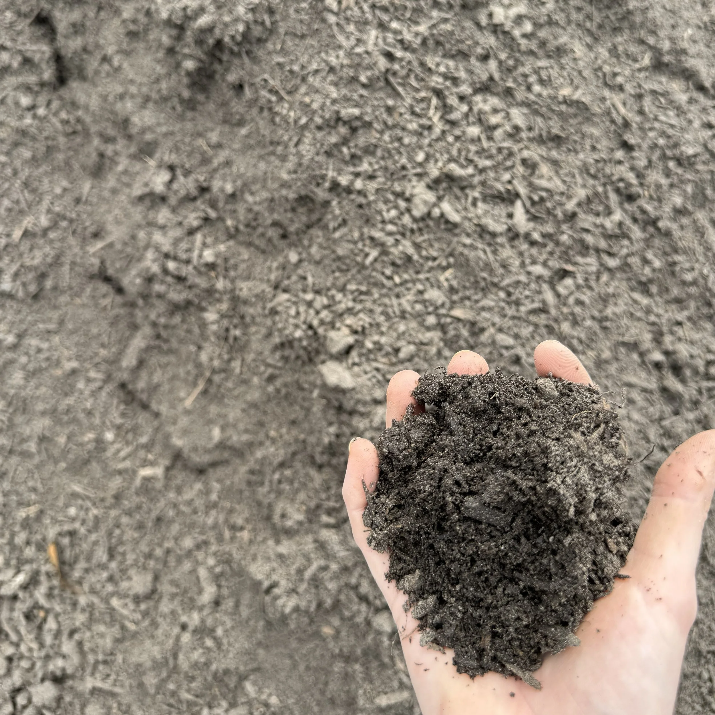 screenedtop2 (2).jpg