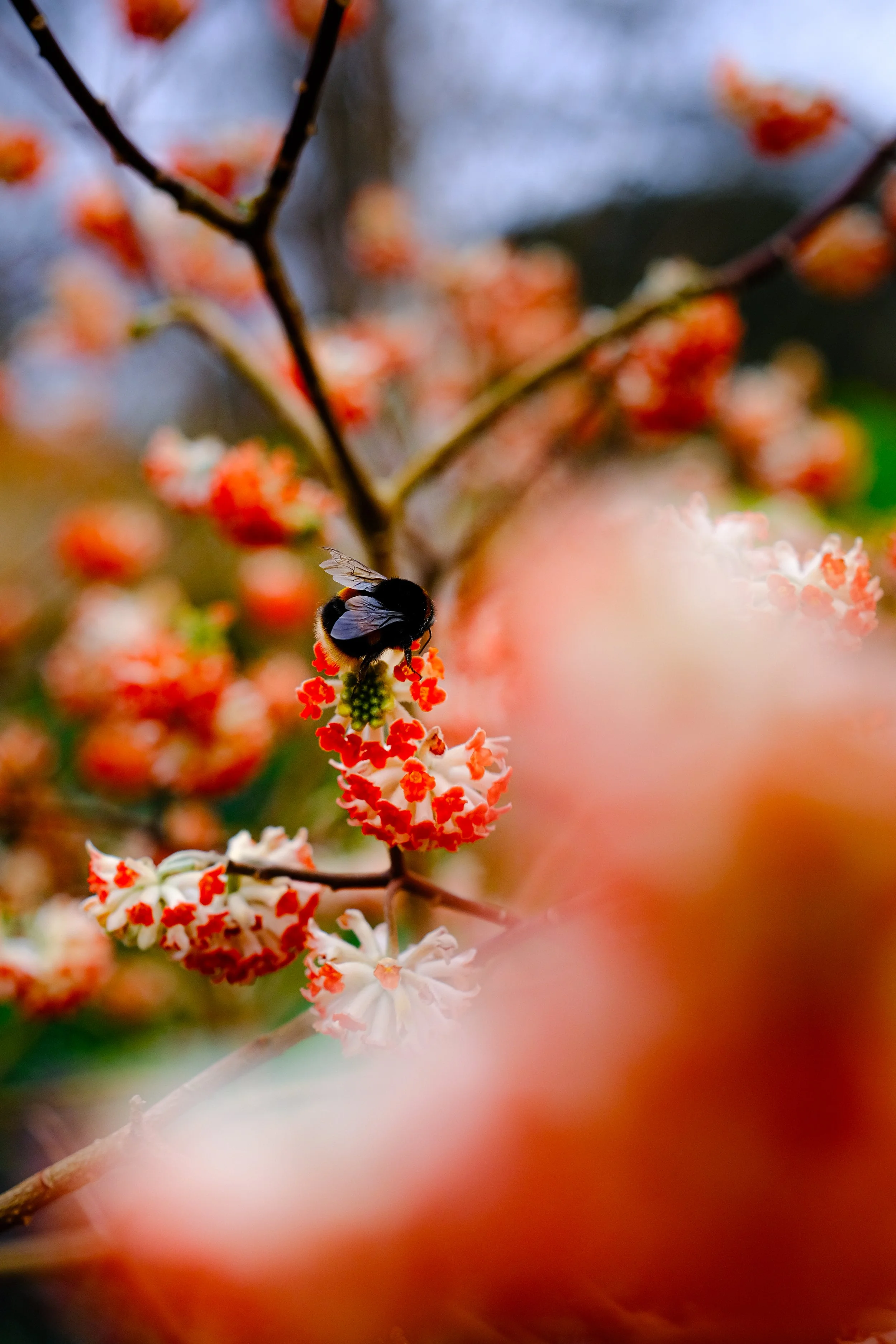 IMG_8150.jpeg