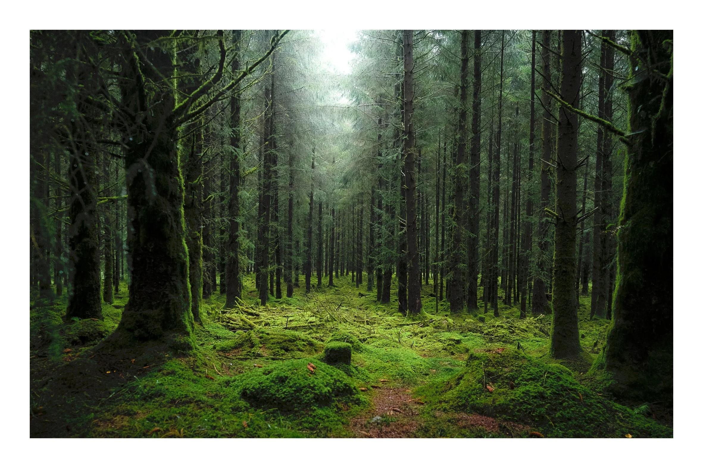 Dartmoor Sep25-32.jpeg