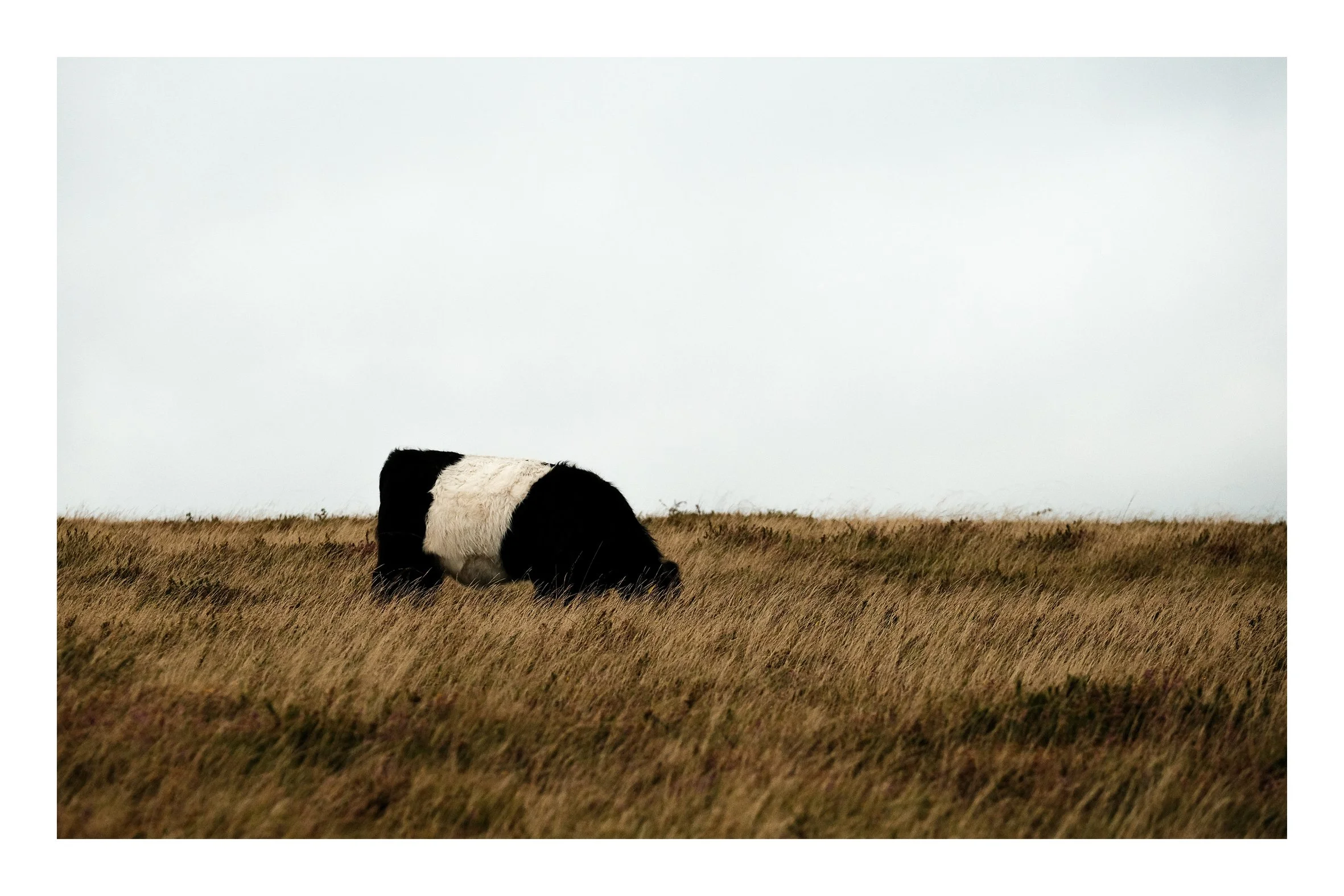 Dartmoor Sep25-05.jpeg