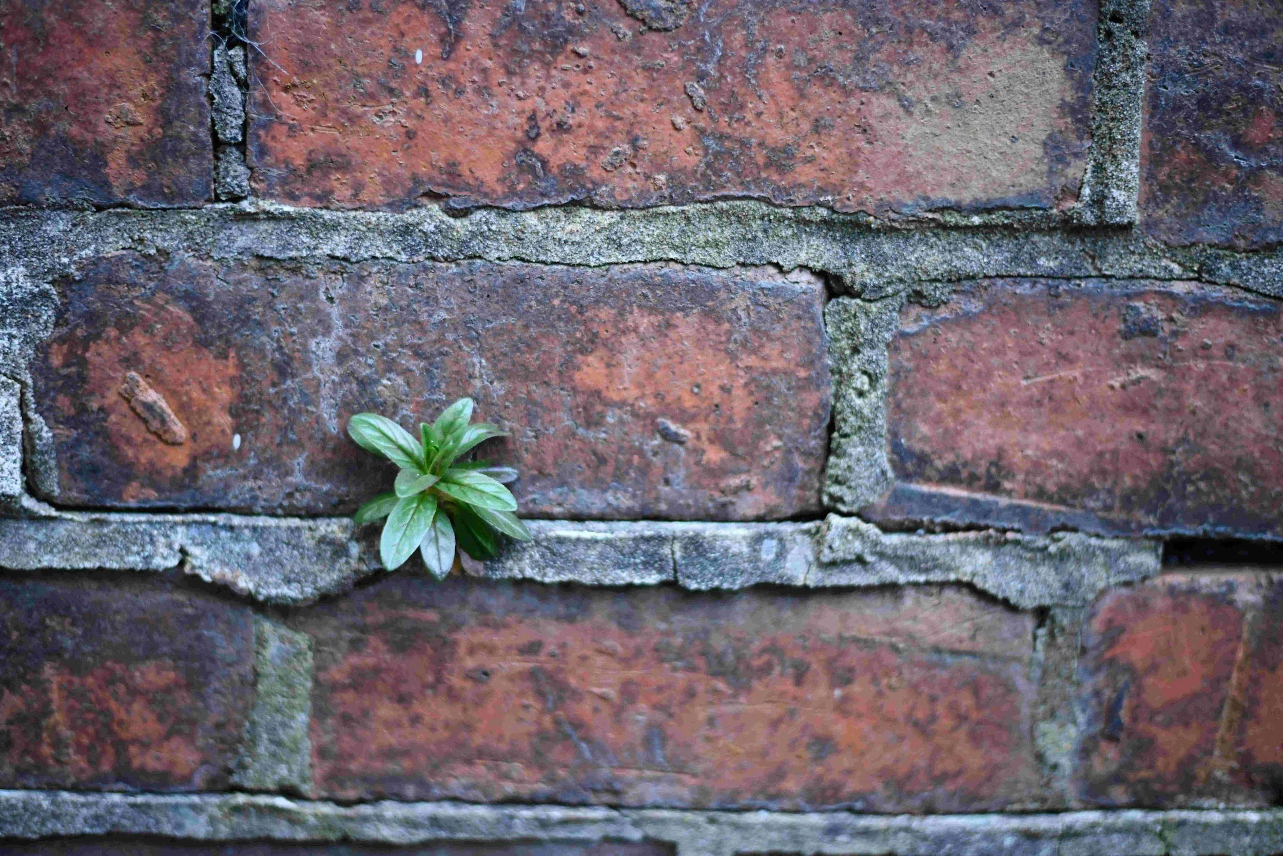 unsplash-image-isqz9FtpDbo.jpg