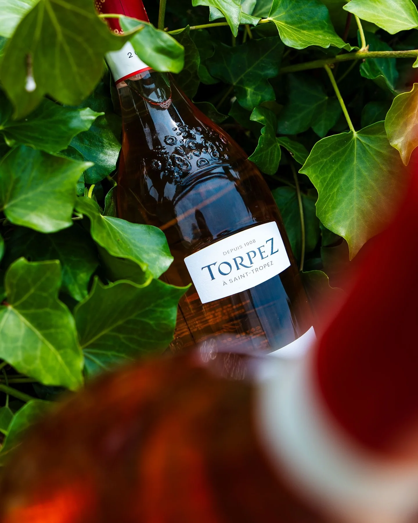 Avoir de beaux produits de qualit&eacute;, c&rsquo;est aussi savoir les mettre en valeur avec de belles images.
Pour @la_cave_de_la_ria , nous avons r&eacute;alis&eacute; un shooting photo d&eacute;di&eacute; &agrave; une s&eacute;lection du catalogu