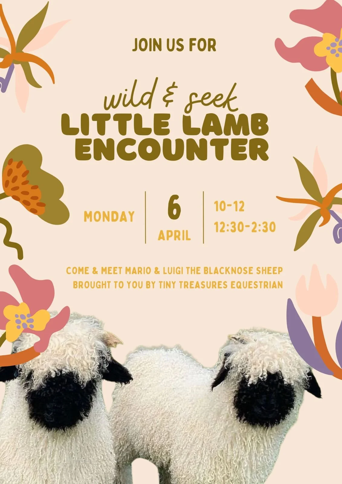 Little Lamb Encounter