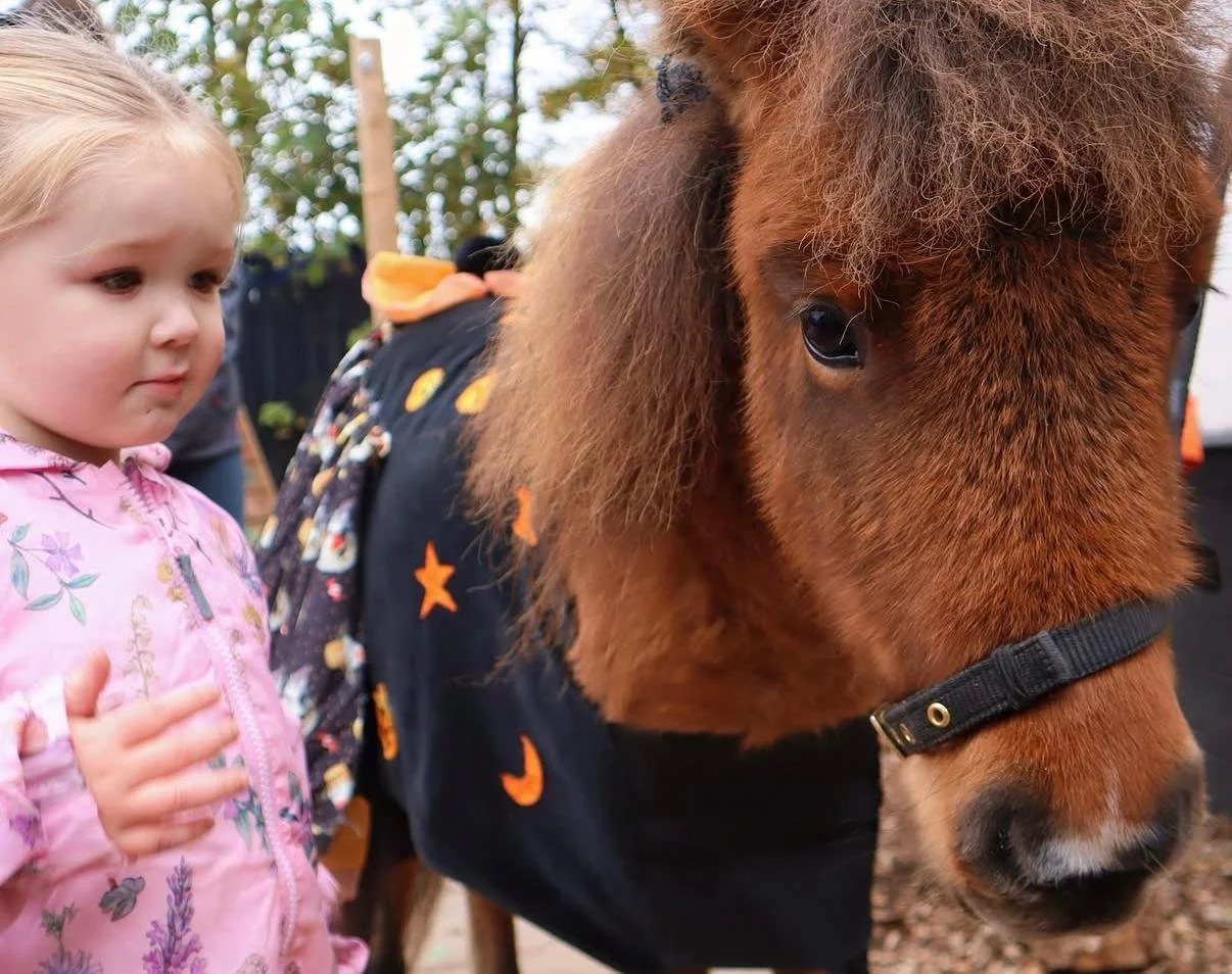 Autumn Pony Adventure