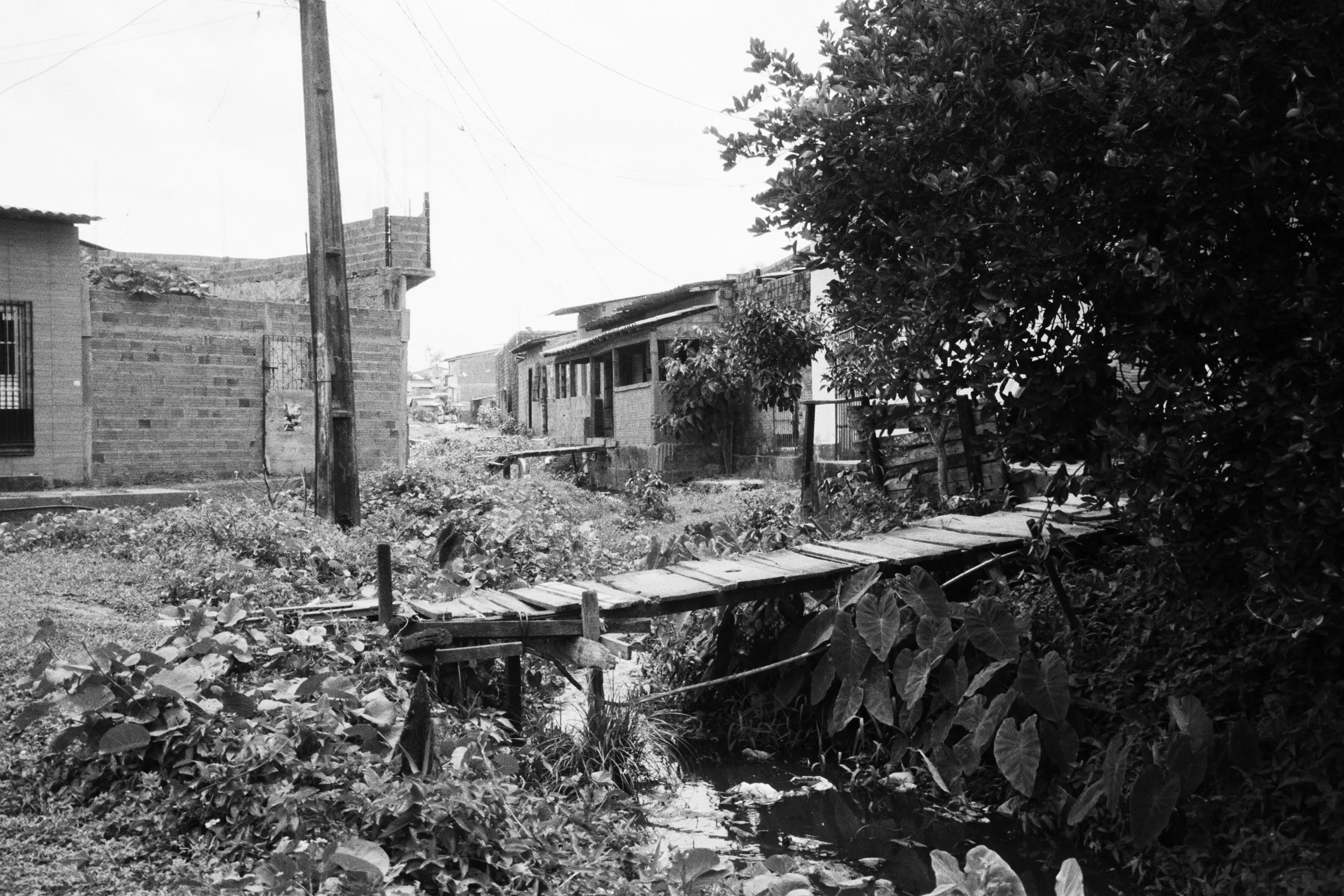 Brasile_Minolta_048.jpg