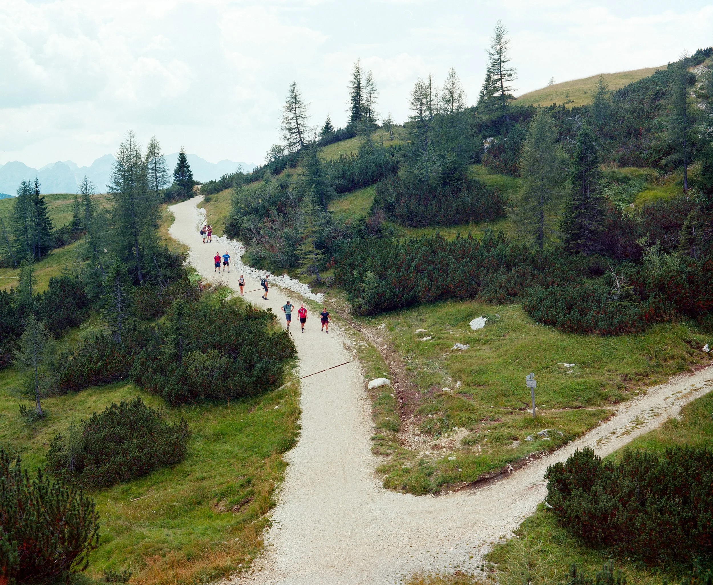 cortina_02.jpg