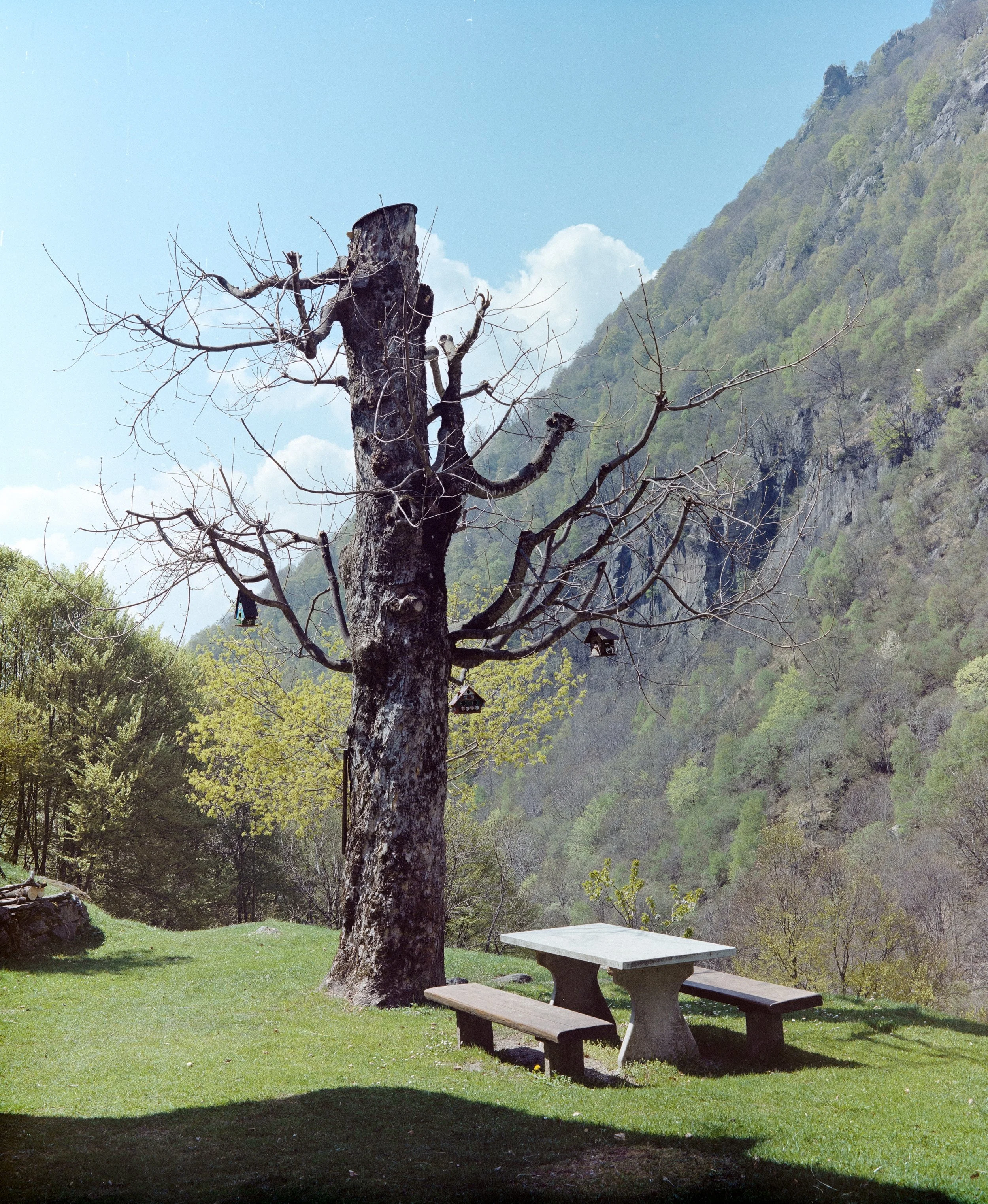 "Sotto le Valli"