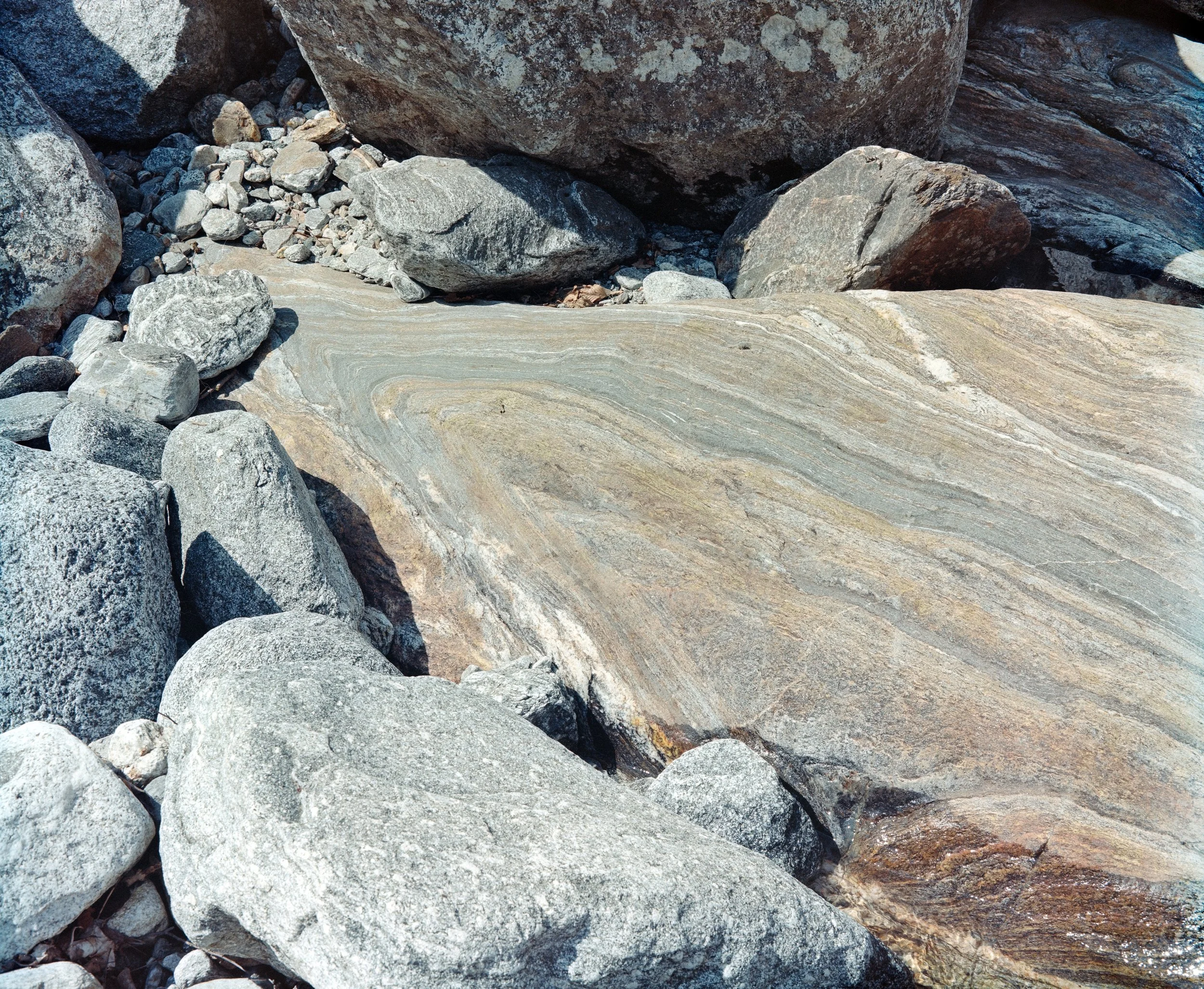 _DSC0015-1.jpg