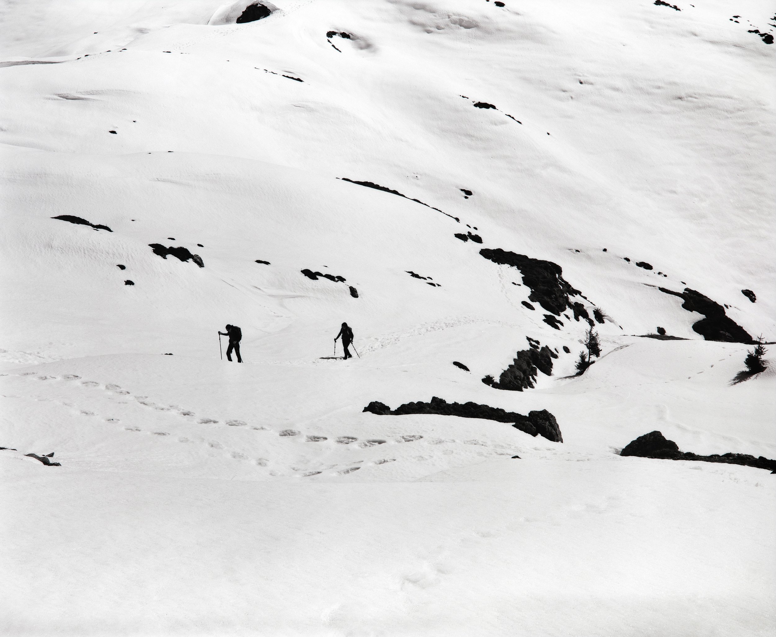 _DSC0004-1.jpg