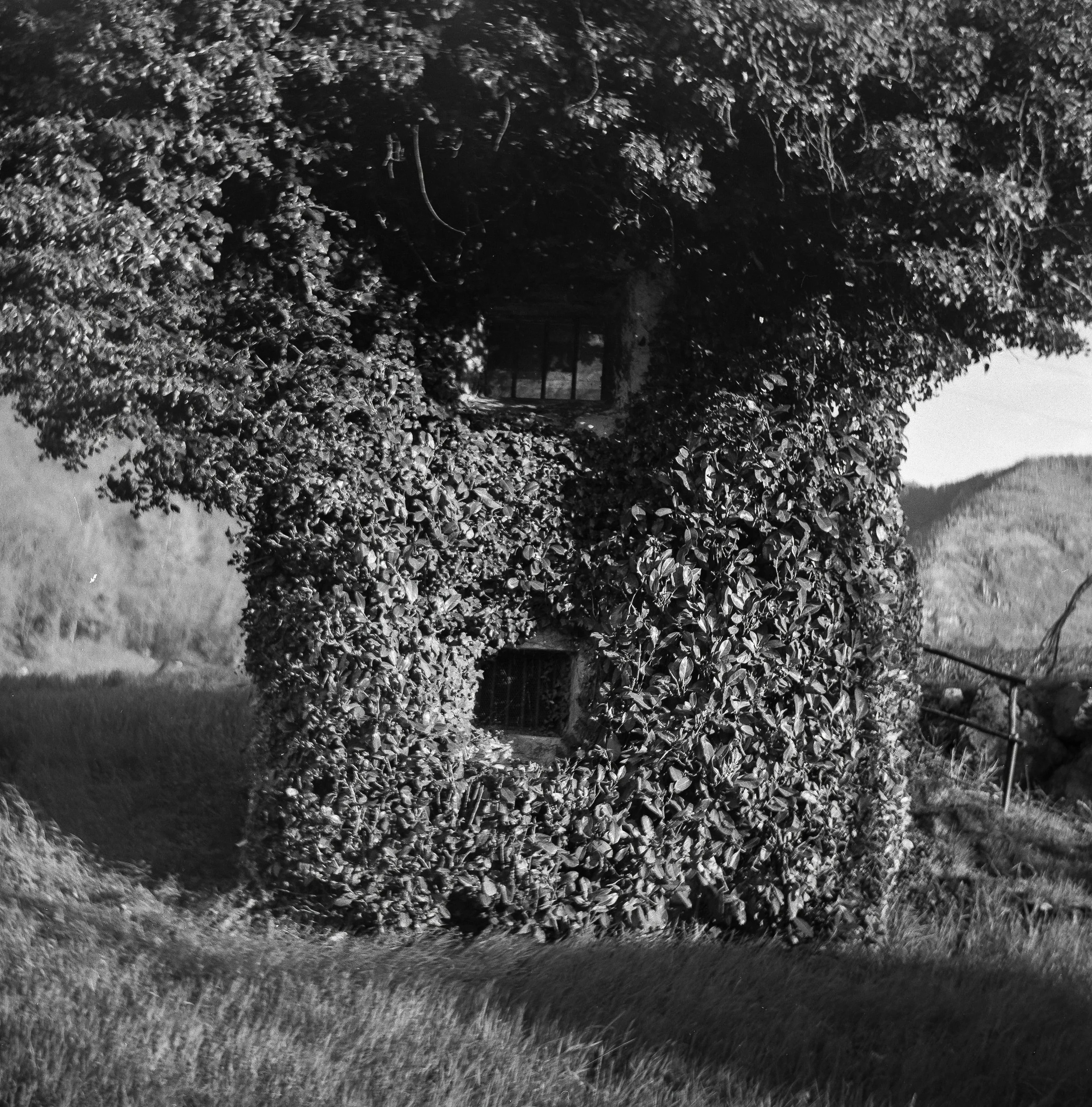 HP5_01-topaz-sharpen.jpg
