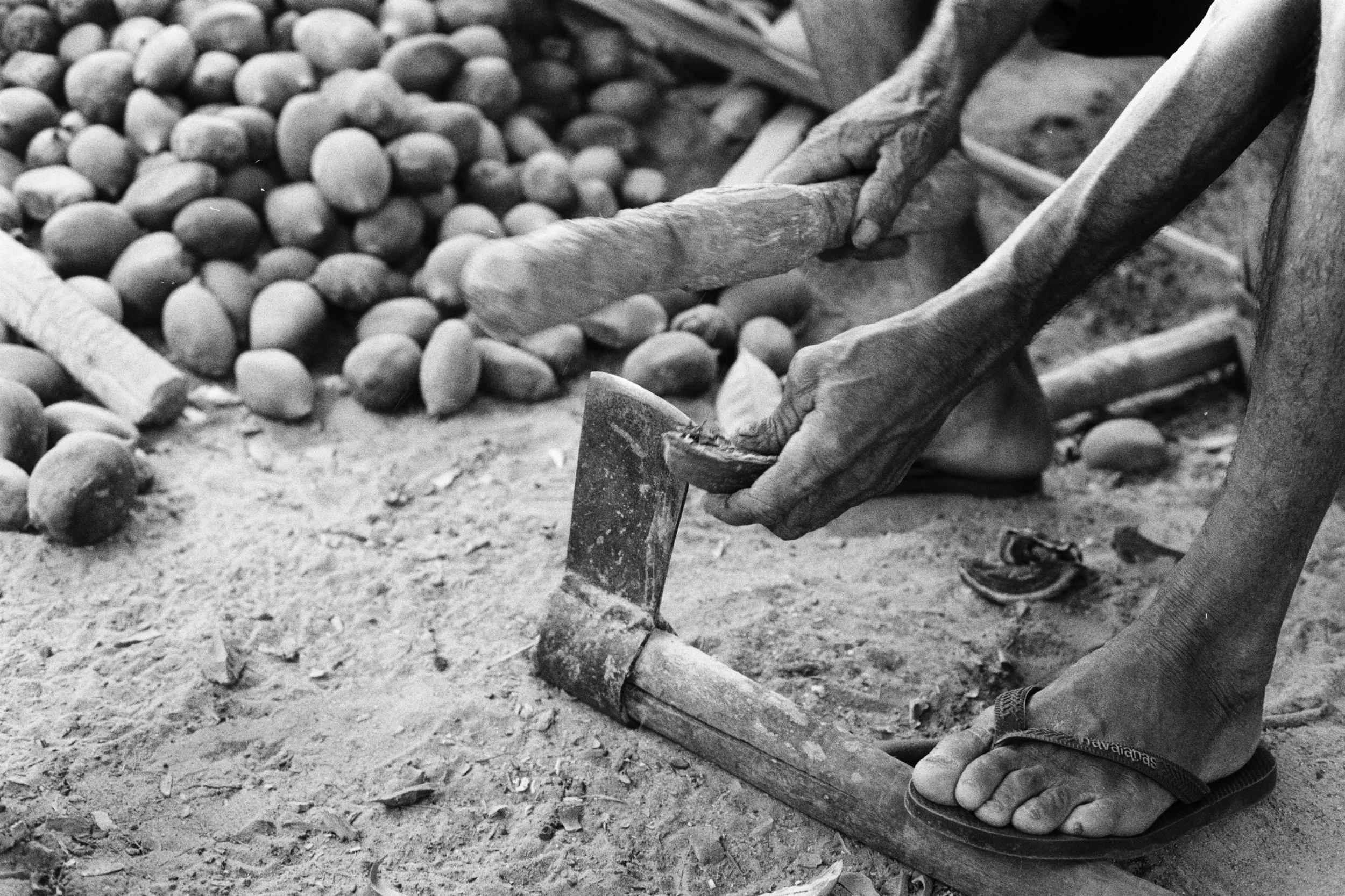 Brasile_Minolta_092.jpg