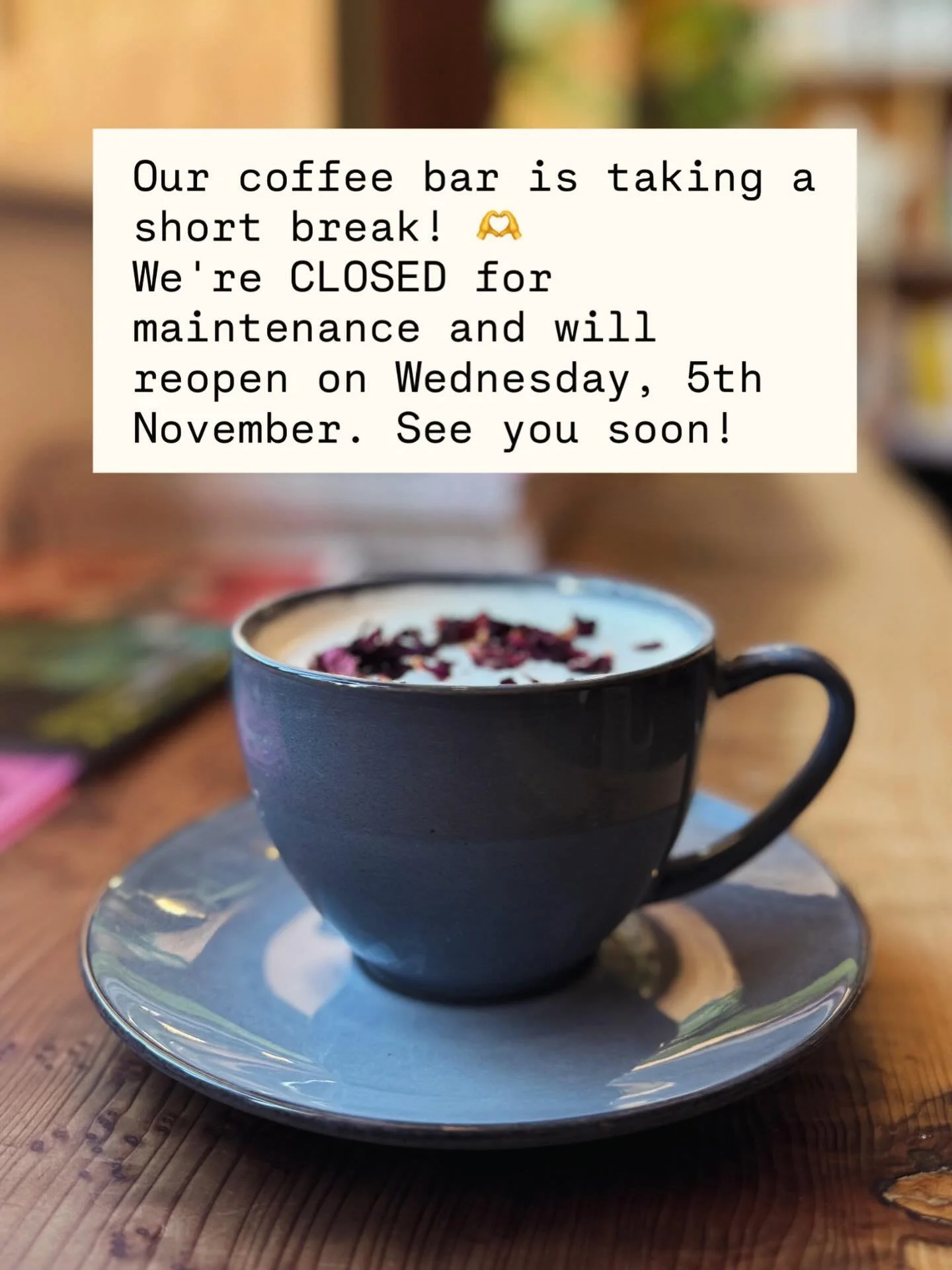 Heads up! 
Our Coffee bar is closed for a little TLC this week, but we'll be back to our usual hours on Wednesday, 5th November from 10 am - 5 pm. Want to know what's coming up at the Canopi in November? Link in bio. See you all soon! 💫
 #creative