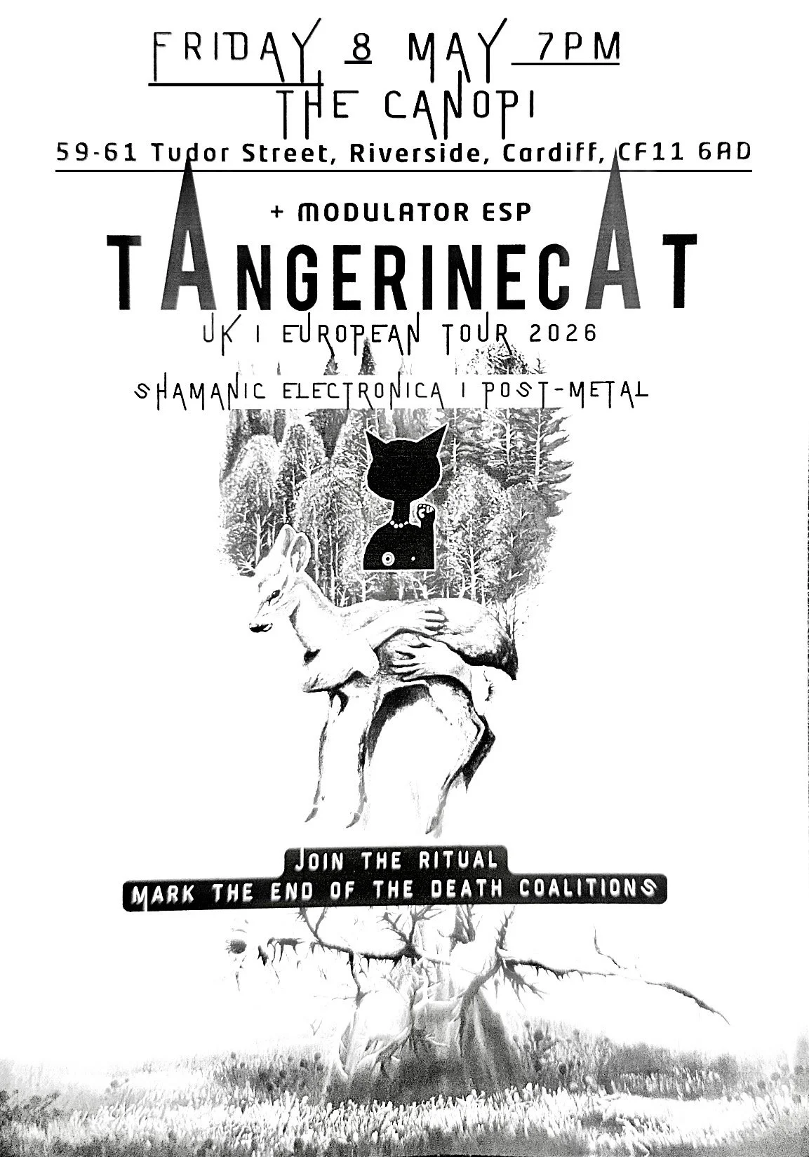tAngerinecAt - UK Tour