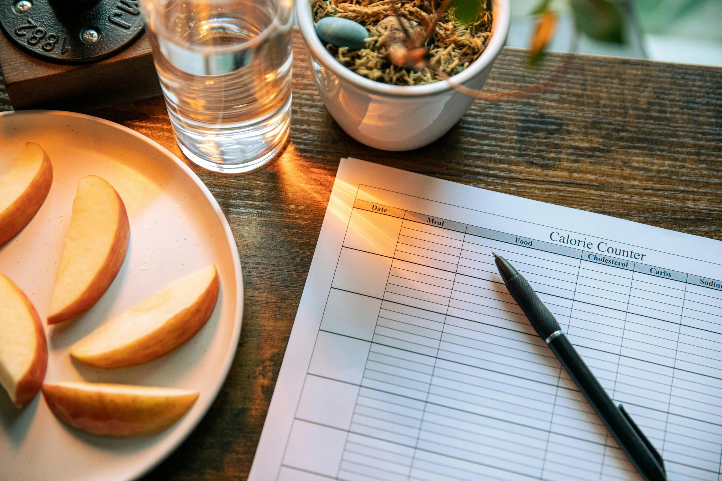 Client food diary used for online personal training and nutrition tracking