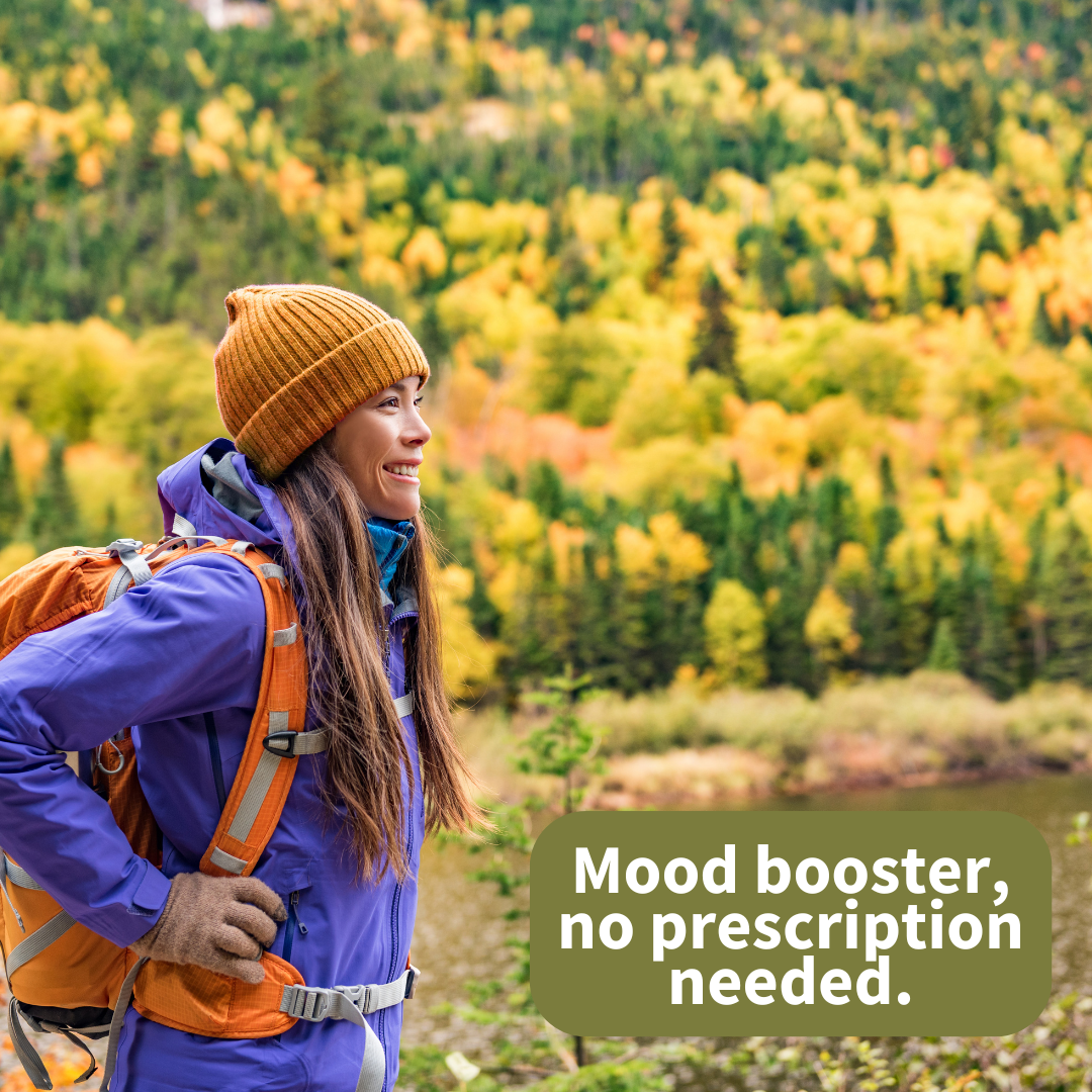 A Walk In The Woods Is Better For You Than You Think