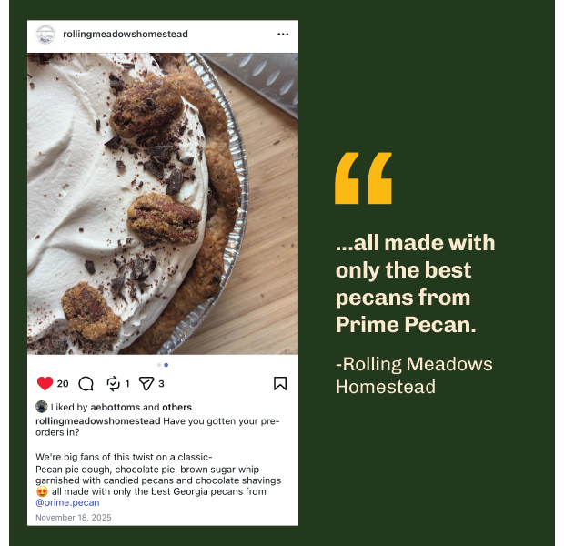 B2B Socials Testimonials-13.png