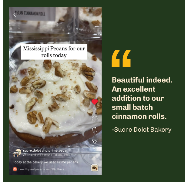 B2B Social Testimonials-12.png