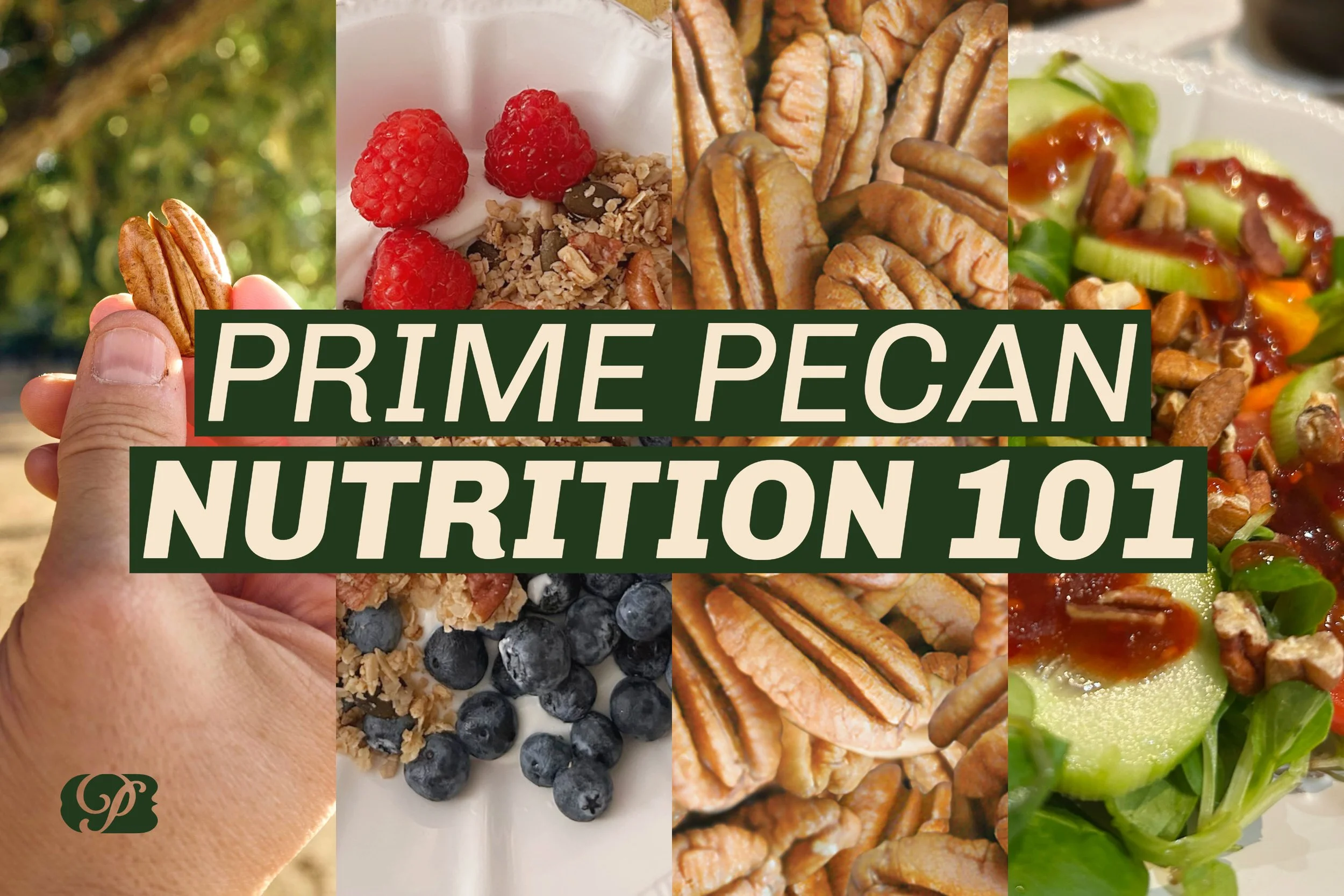 Prime Pecan Nutrition 101