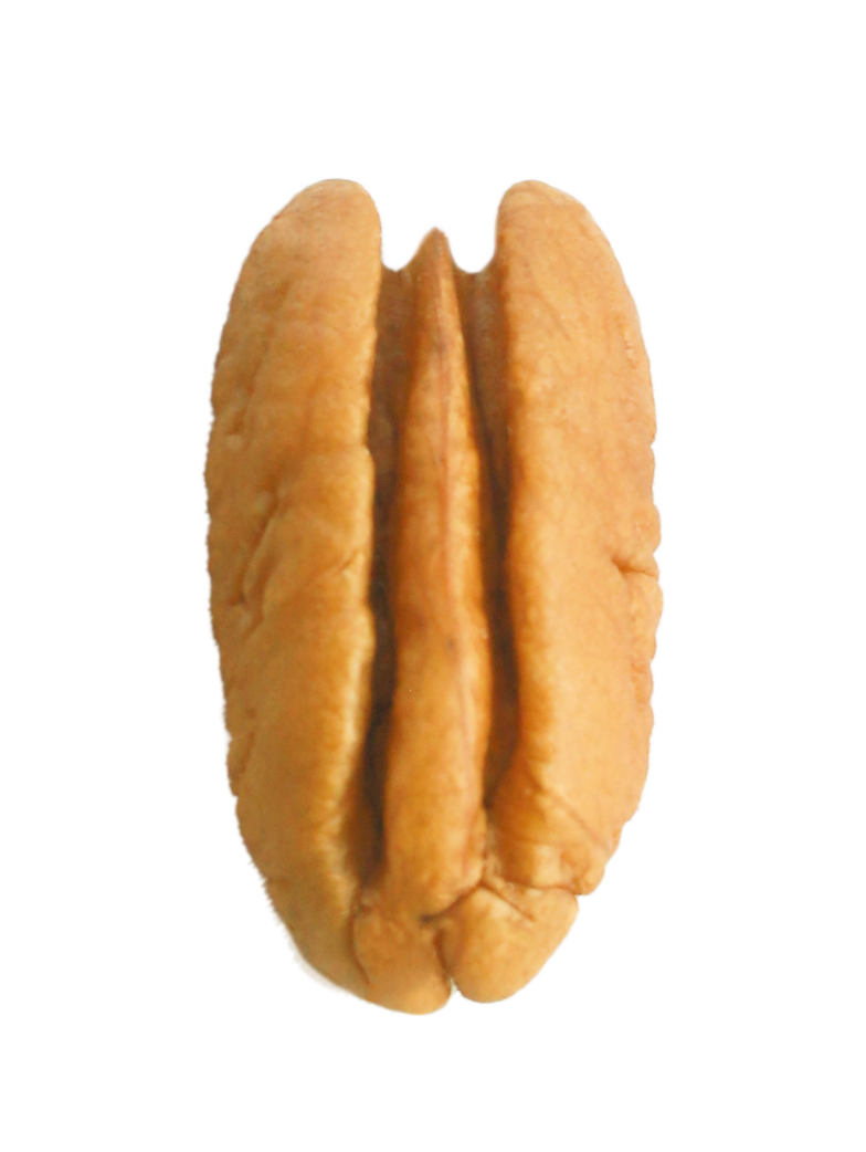 Golden Mammoth Pecan Half