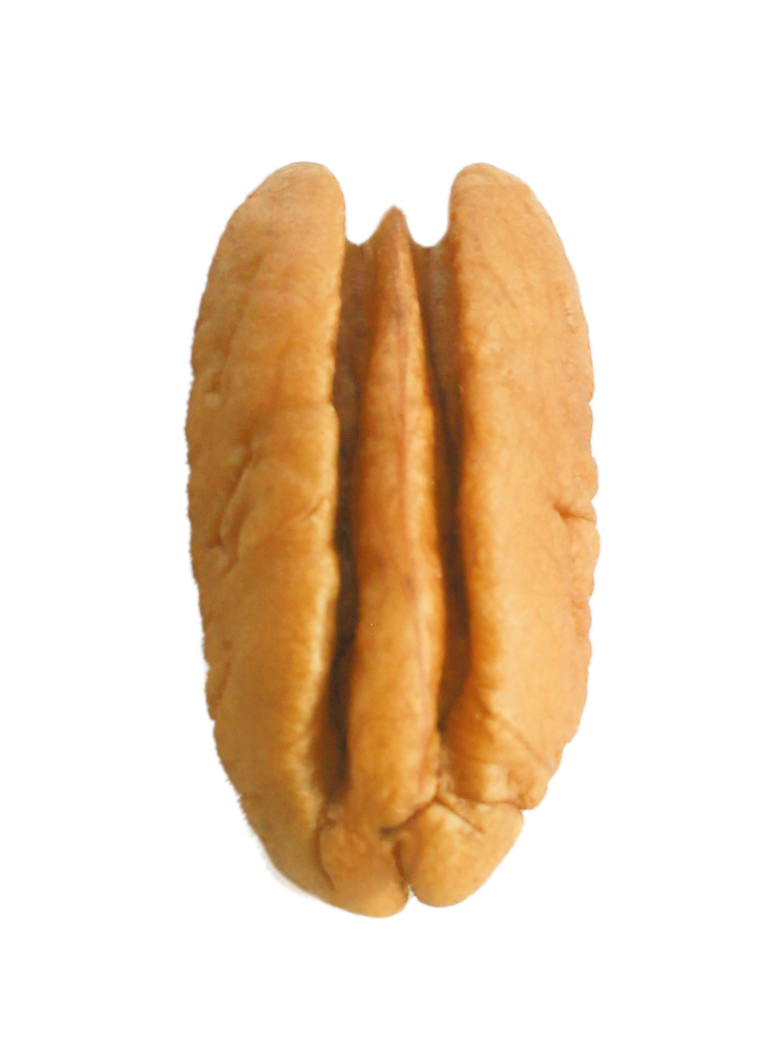 Mammoth pecan halves, count of 300 or less per pound, for premium wholesale pastry decoration and high-end gifting. These uniform, golden halves provide the highest visual appeal for professional confectionery and gourmet bakery displays.