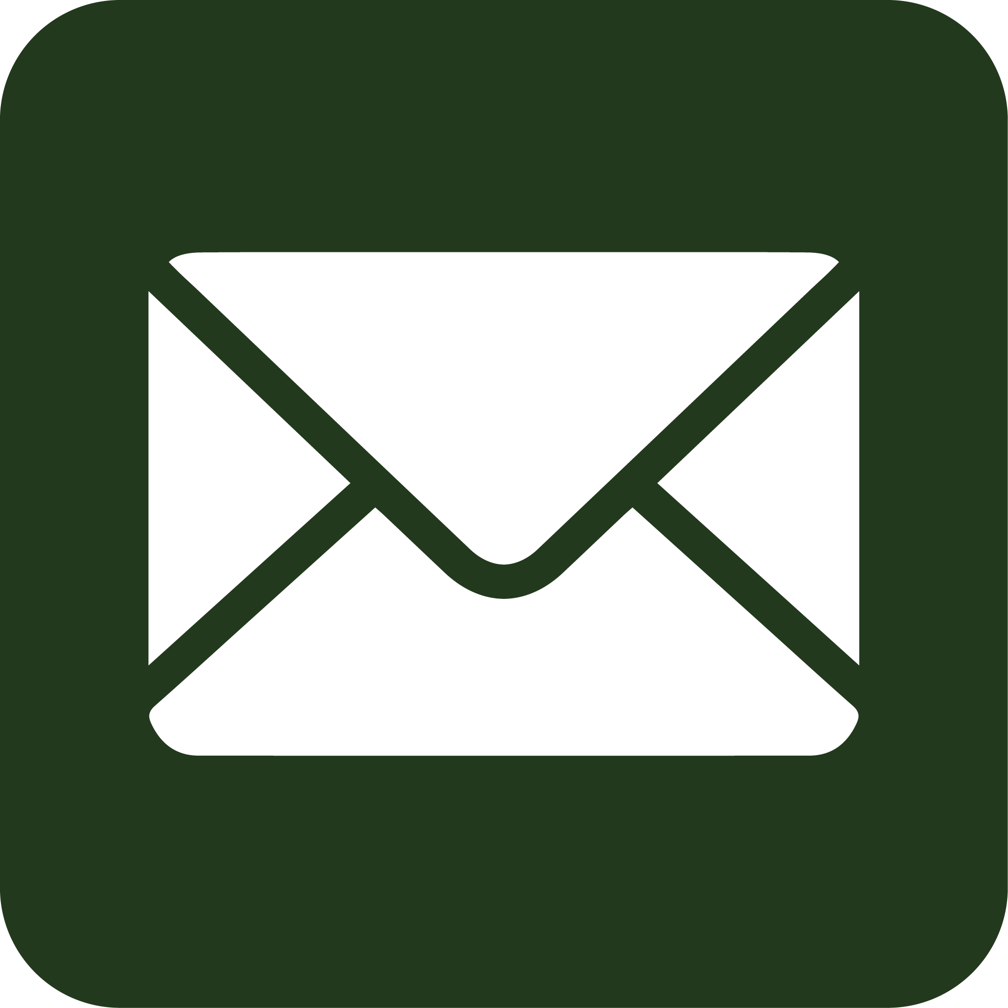 Email Icon