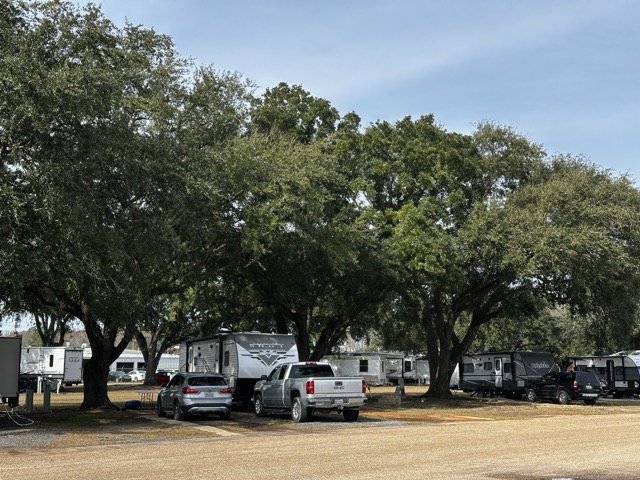 OakCove_MultipleRVsAndMultipleLiveOaks.jpeg