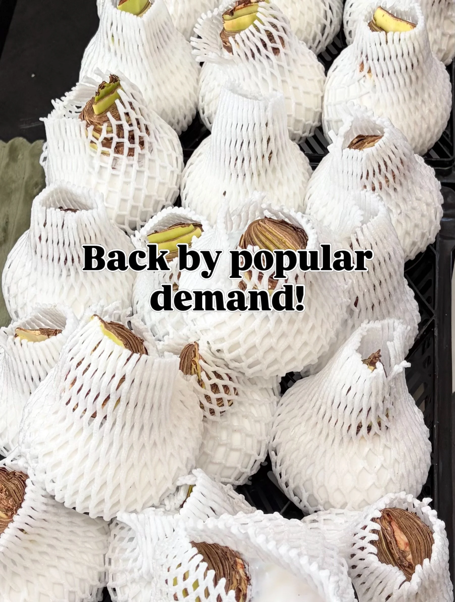 While they last! #sopretty #giftideas #charlestownri #shopsmall #southcountyri