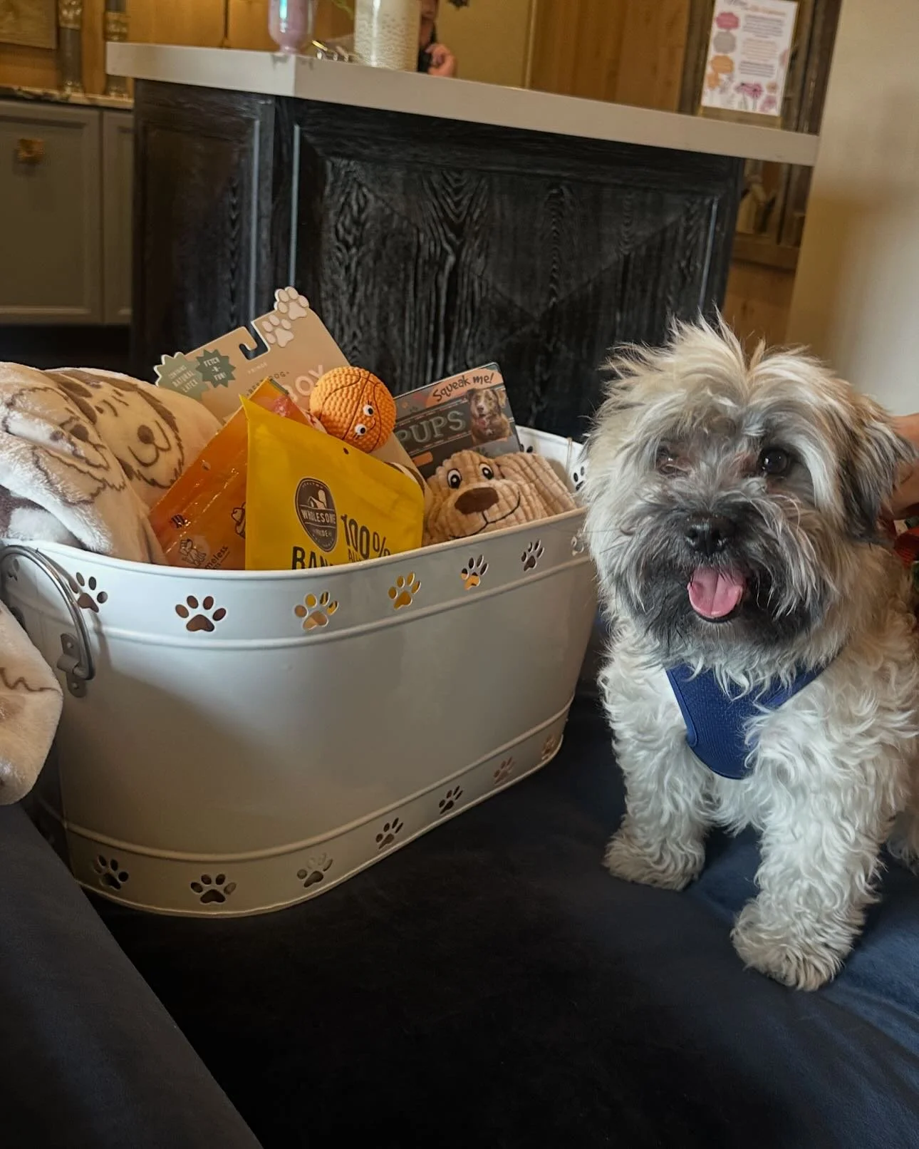 Congrats to our pet of the month, Kentucky! His favorite activities are taking walks and being chased, eating crunchy treats, and snuggling in bed. If you see him walking around the highlands make sure to say hi! 🐾🦴❤️
#thehighlands #petofthemonth
