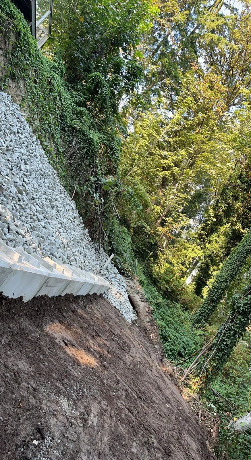 Hillside with loose rocks and partial retaining wall under construction, surrounded by trees and vegetation.