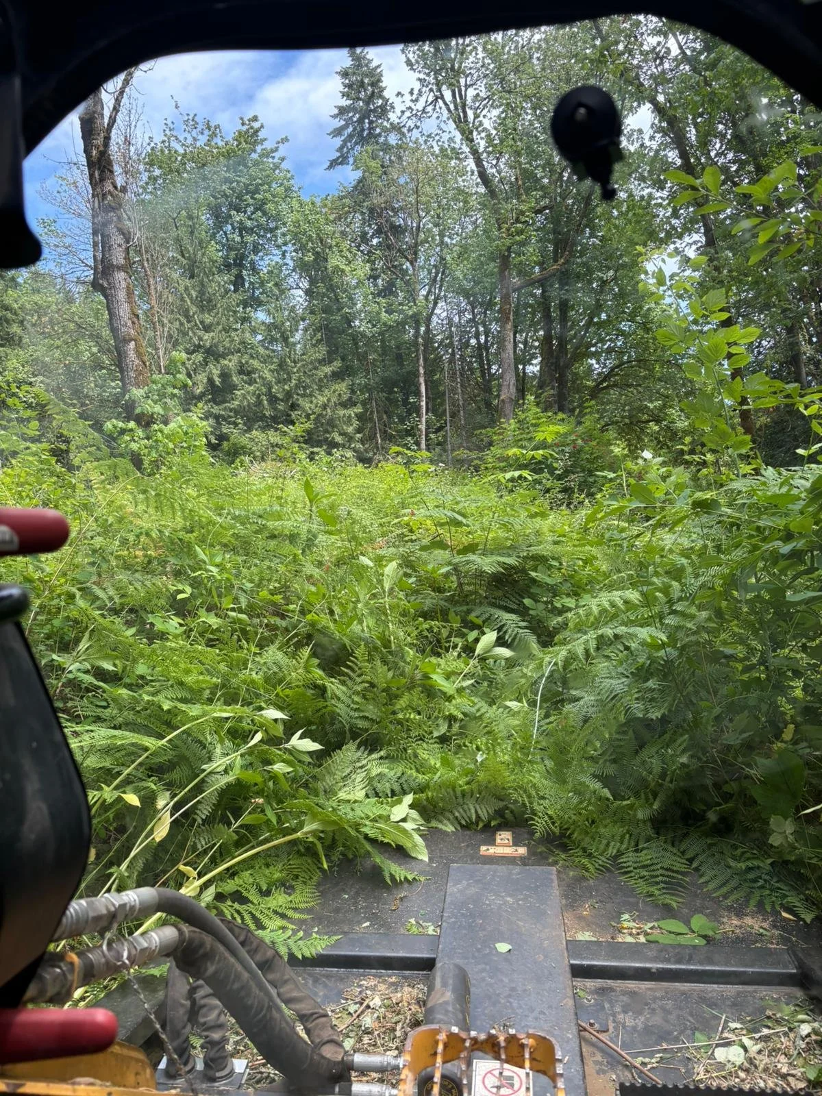 WhatsApp Image 2025-11-17 at 6.39.29 PM.jpeg