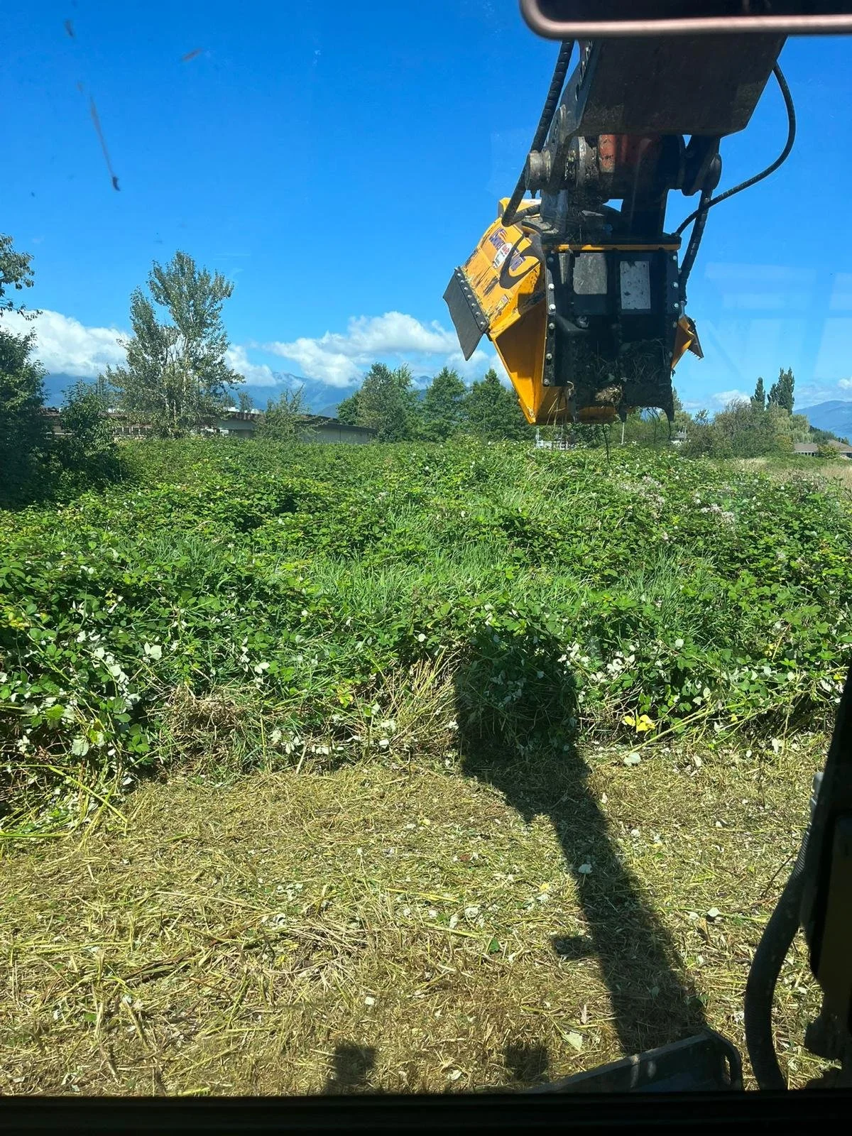 View from a vehicle showing machinery cutting overgrown vegetation in a field, with trees and a clear blue sky in the background.