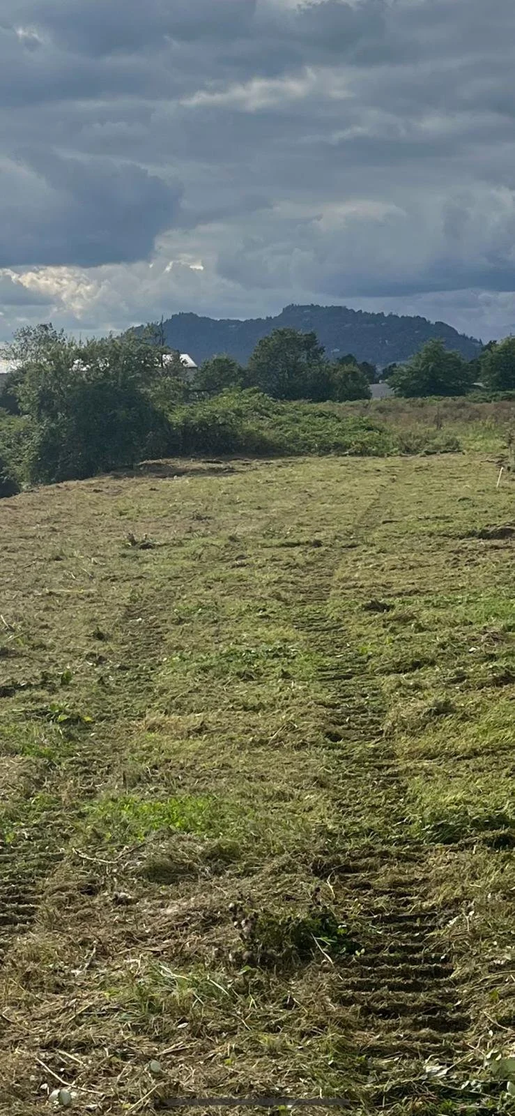 A grassy field with tire tracks leading towards a distant tree line and hills under a cloudy sky.