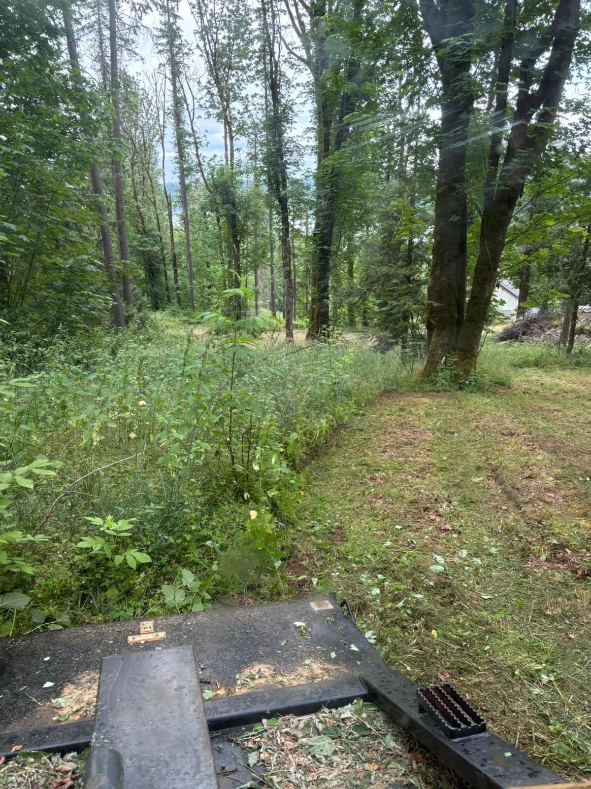 WhatsApp Image 2025-11-17 at 6.39.31 PM.jpeg