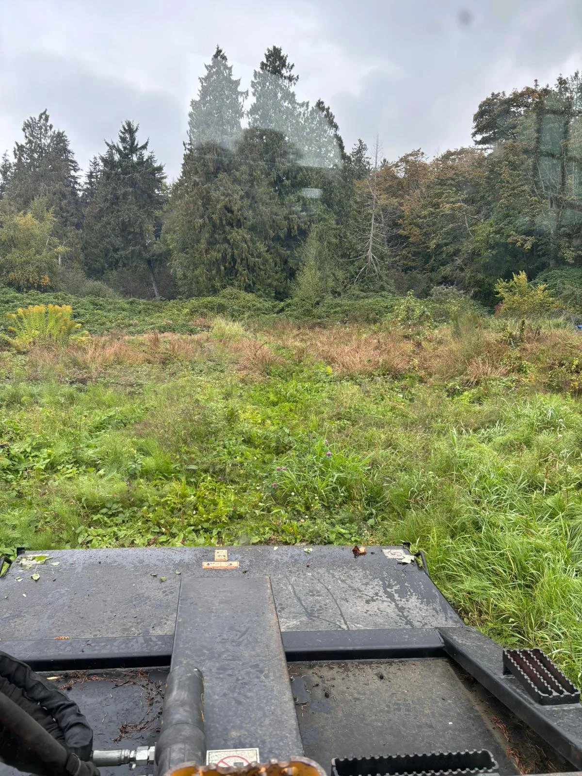 WhatsApp Image 2025-11-17 at 6.40.31 PM.jpeg