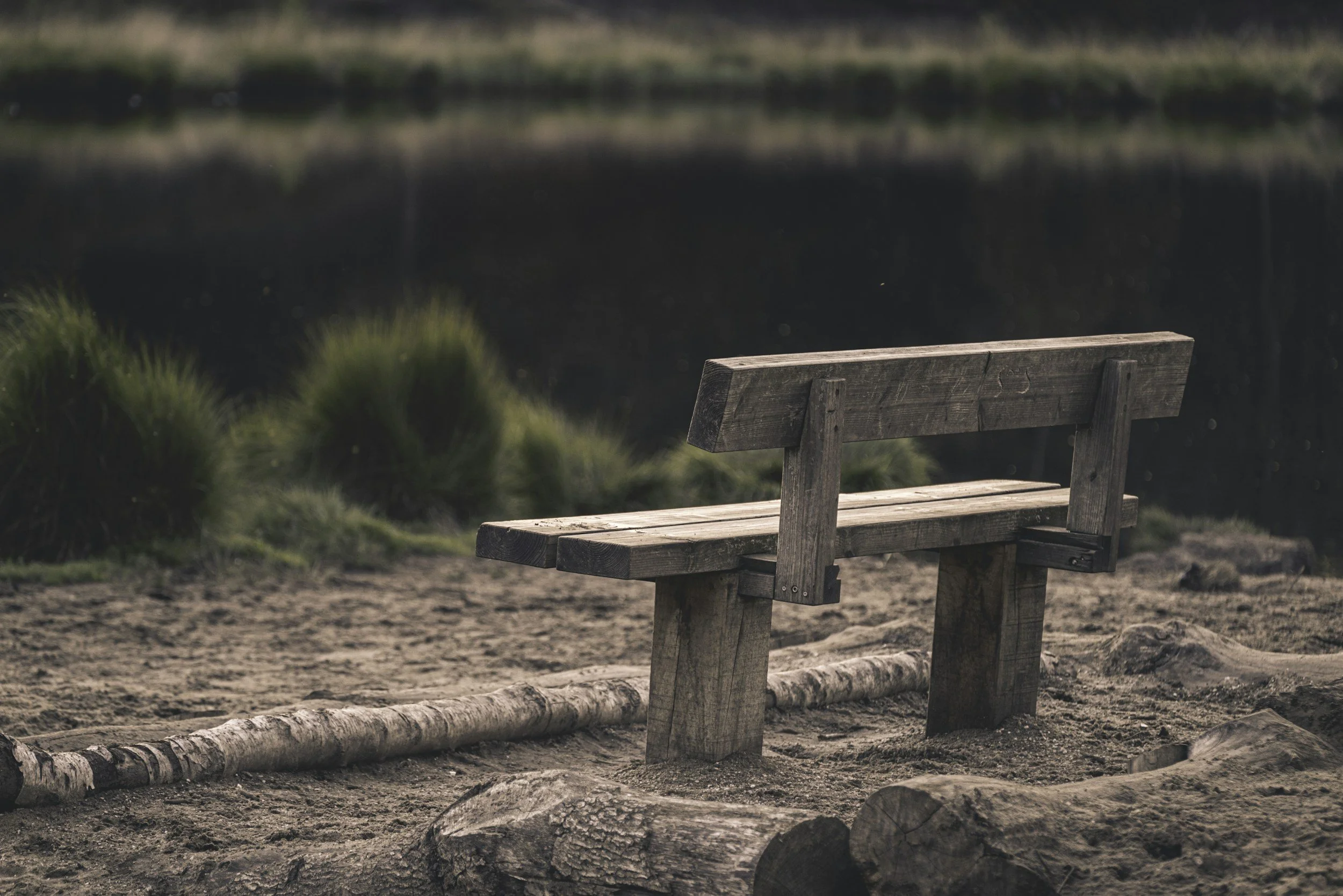 The Loneliness Epidemic