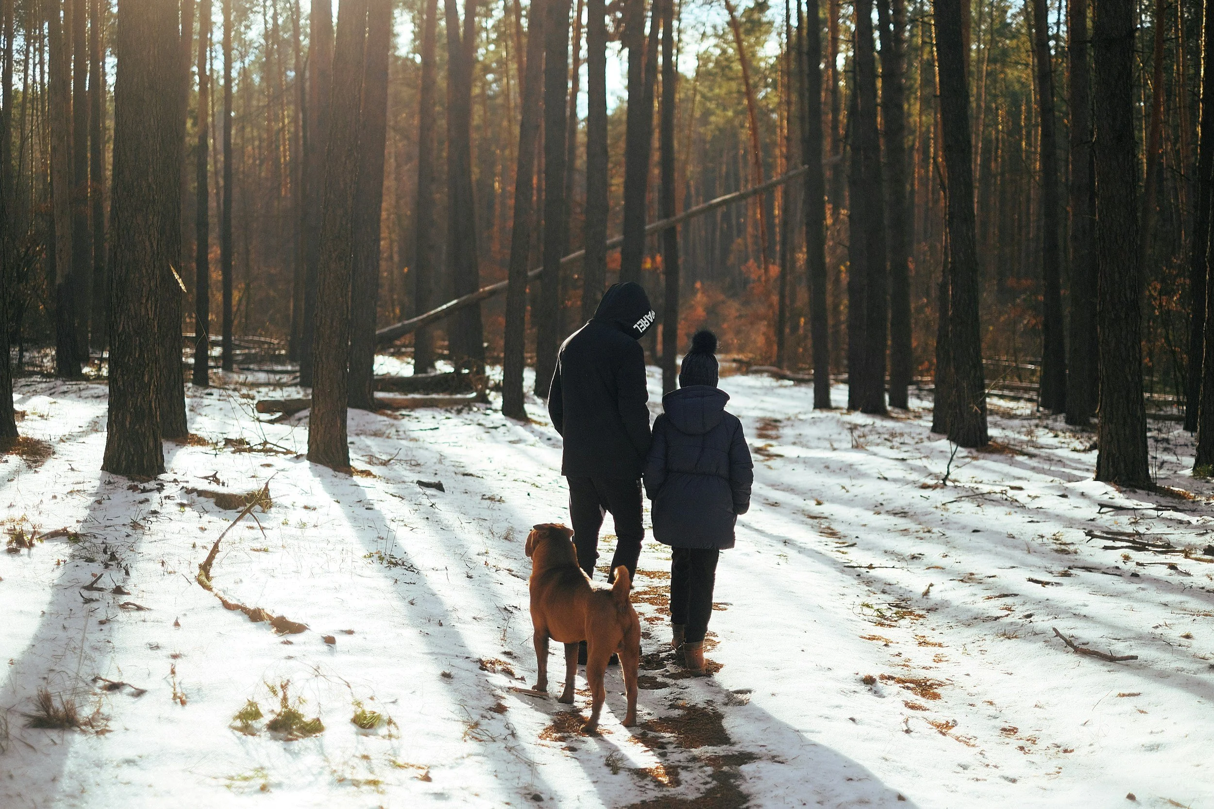 The Bipolar Spectrum: Relationships &amp; Everyday Life