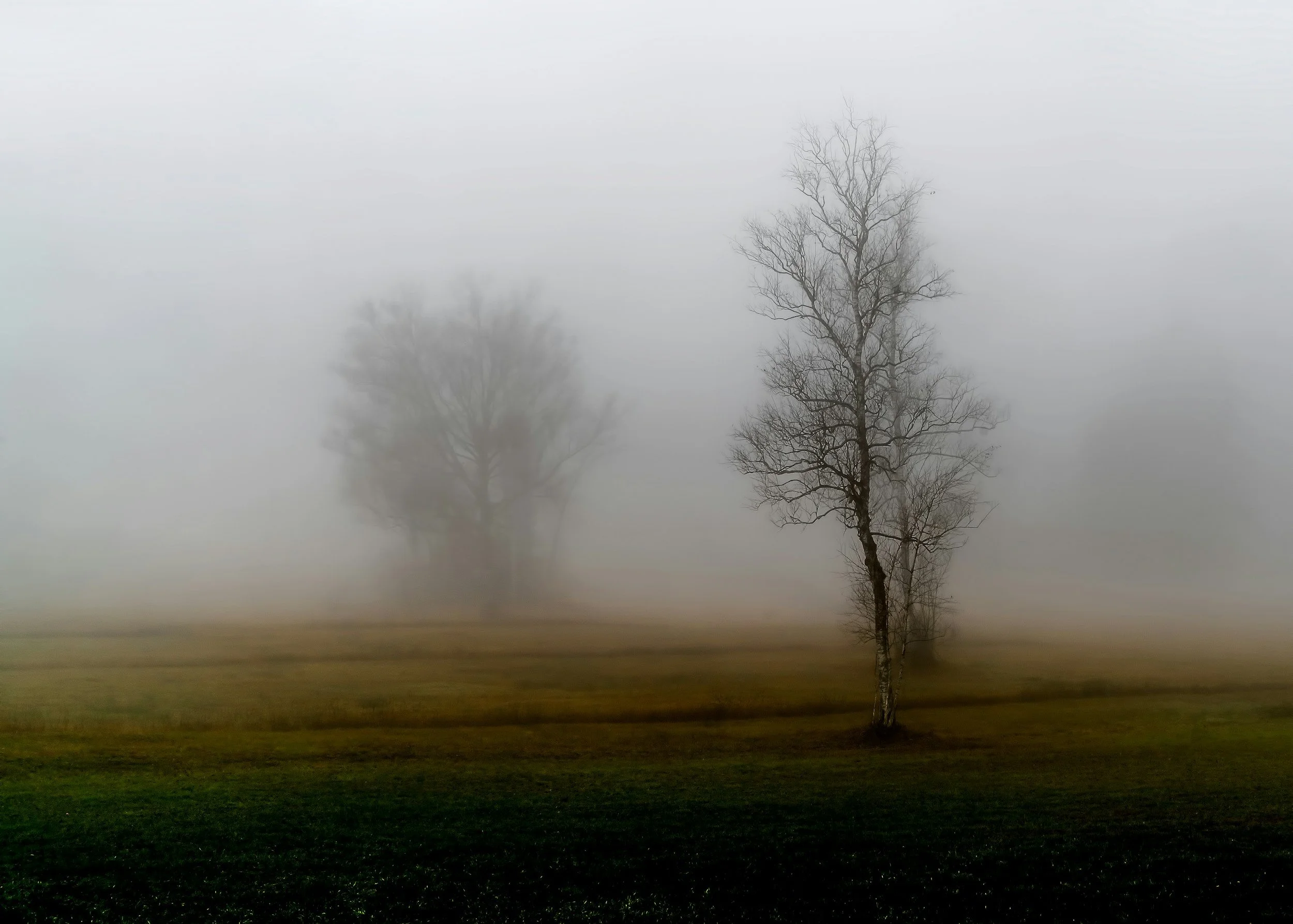 1. The Loneliness Epidemic