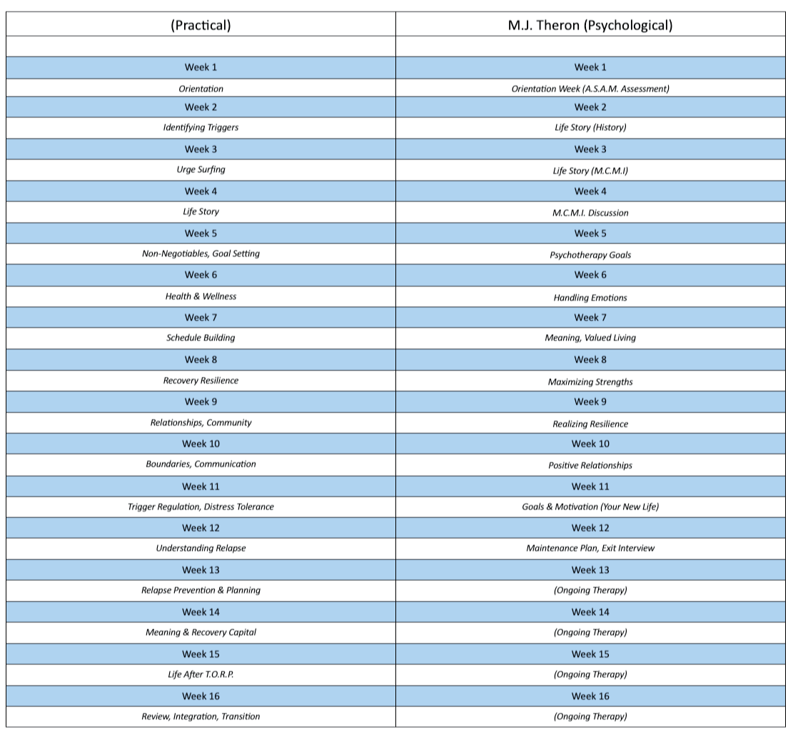Sample Programme Structure For TORP (20206) ... Practical vs Psychological Aspects