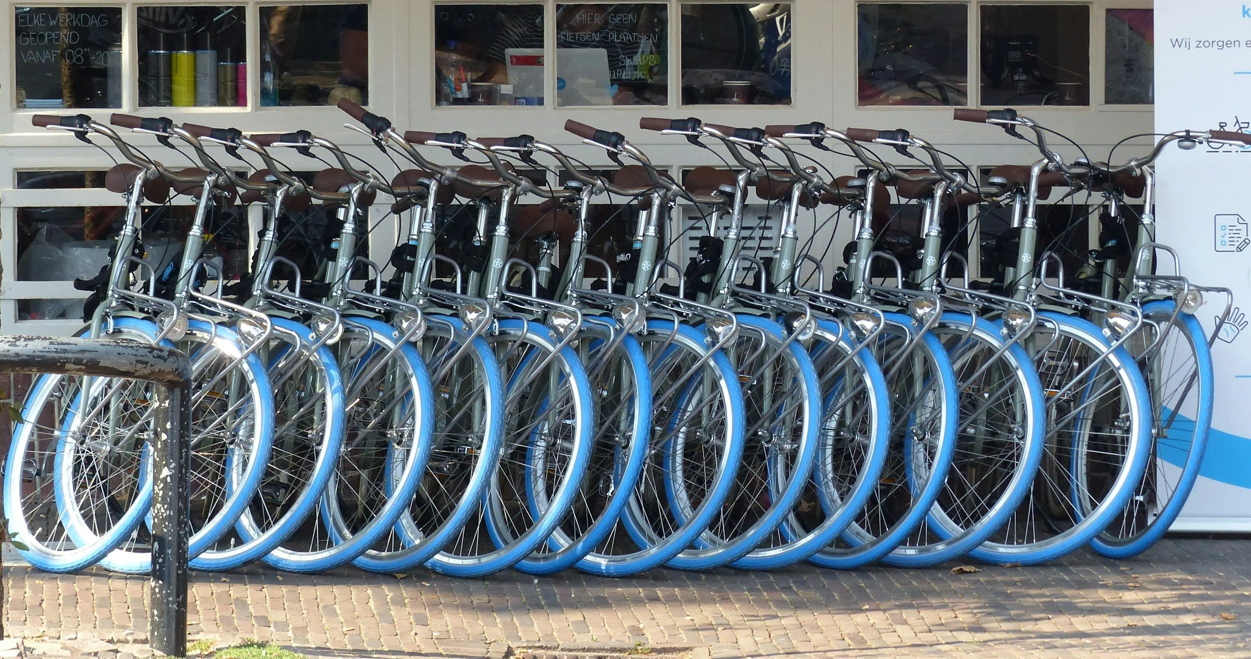 Row of bicycles with blue tires parked outside a shop.