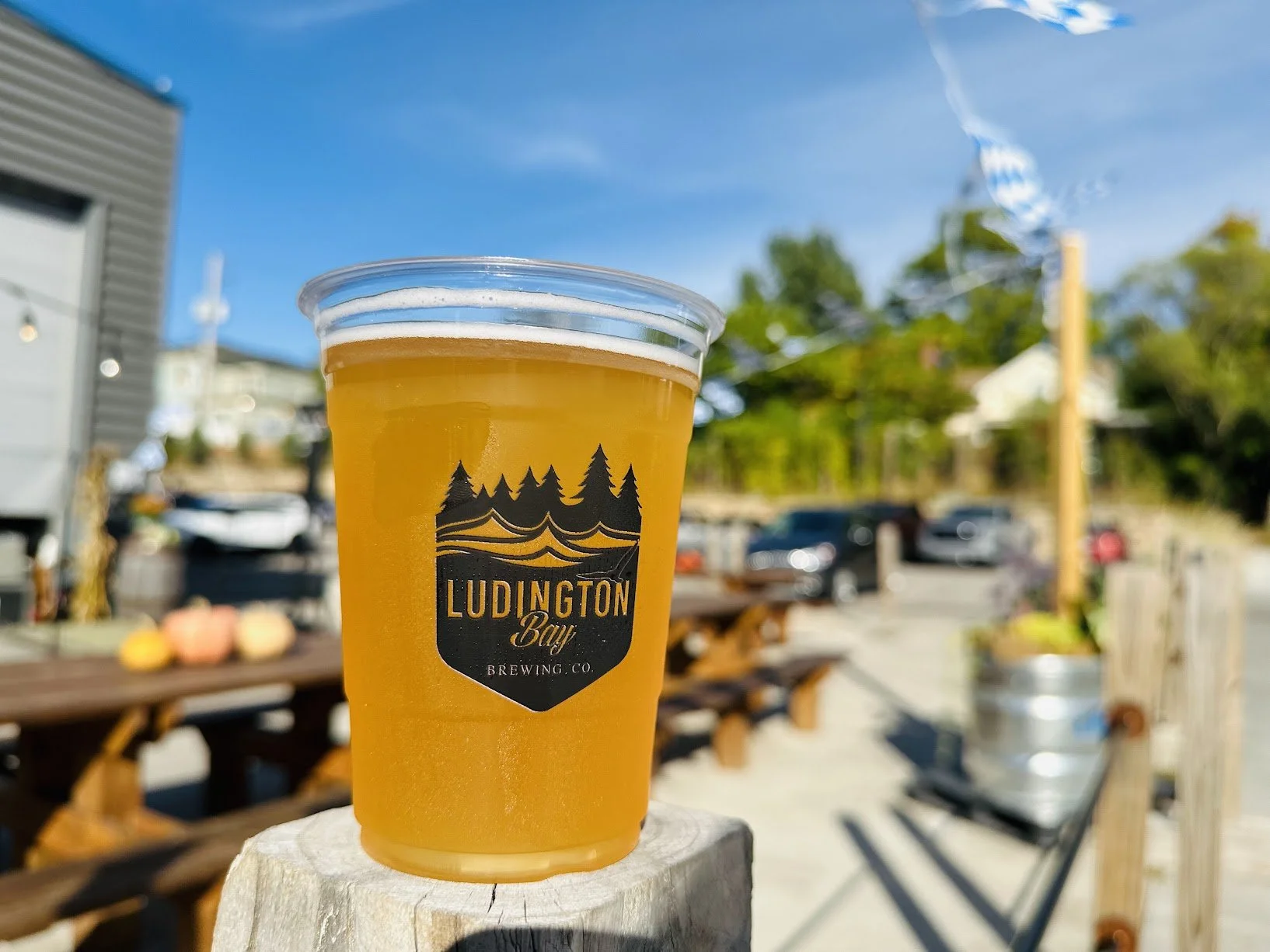 Ludington Lumber Days Pub Crawl - Presented by Ludington Bay Brewing Co.