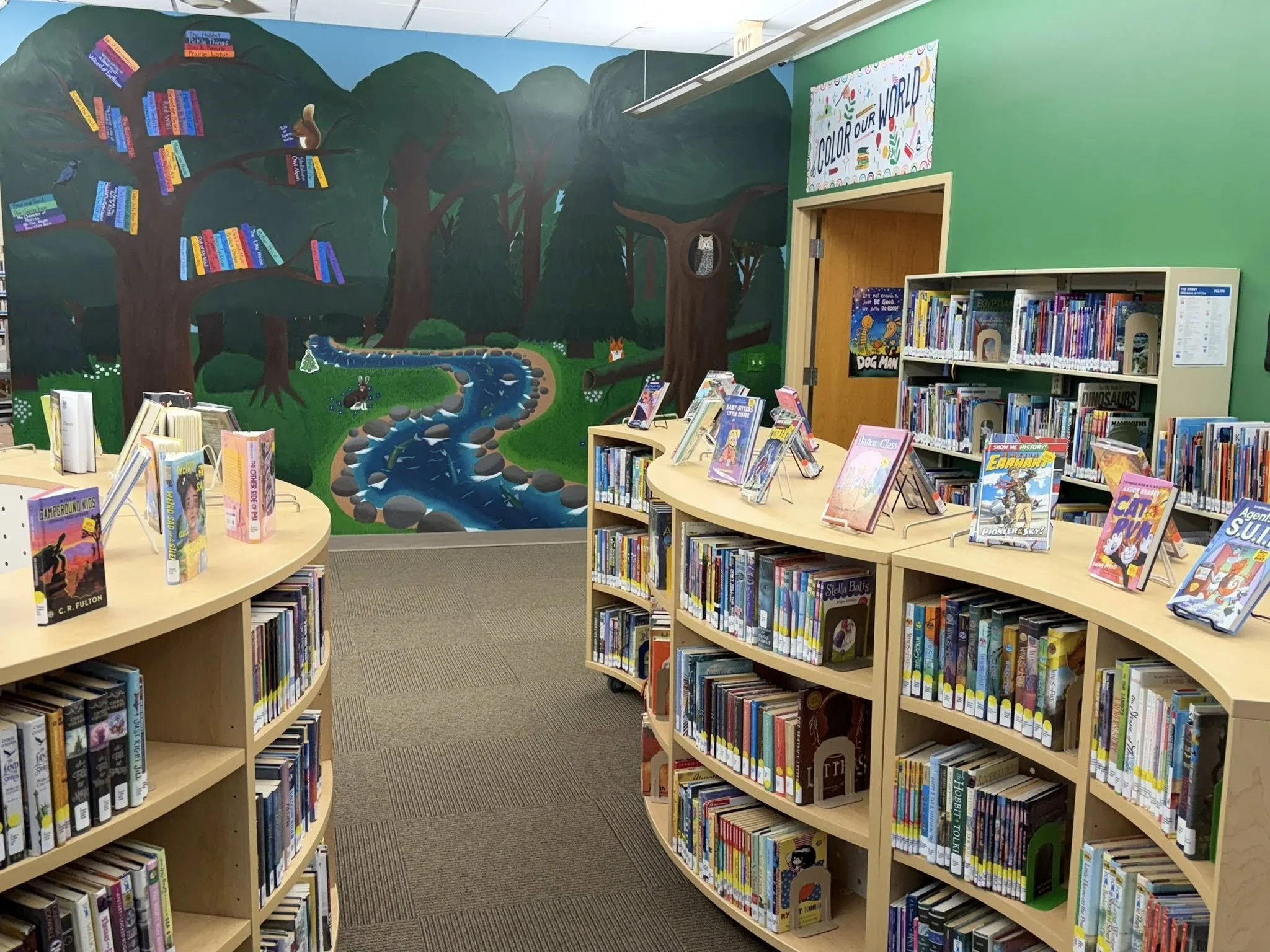 History of Michigan Libraries