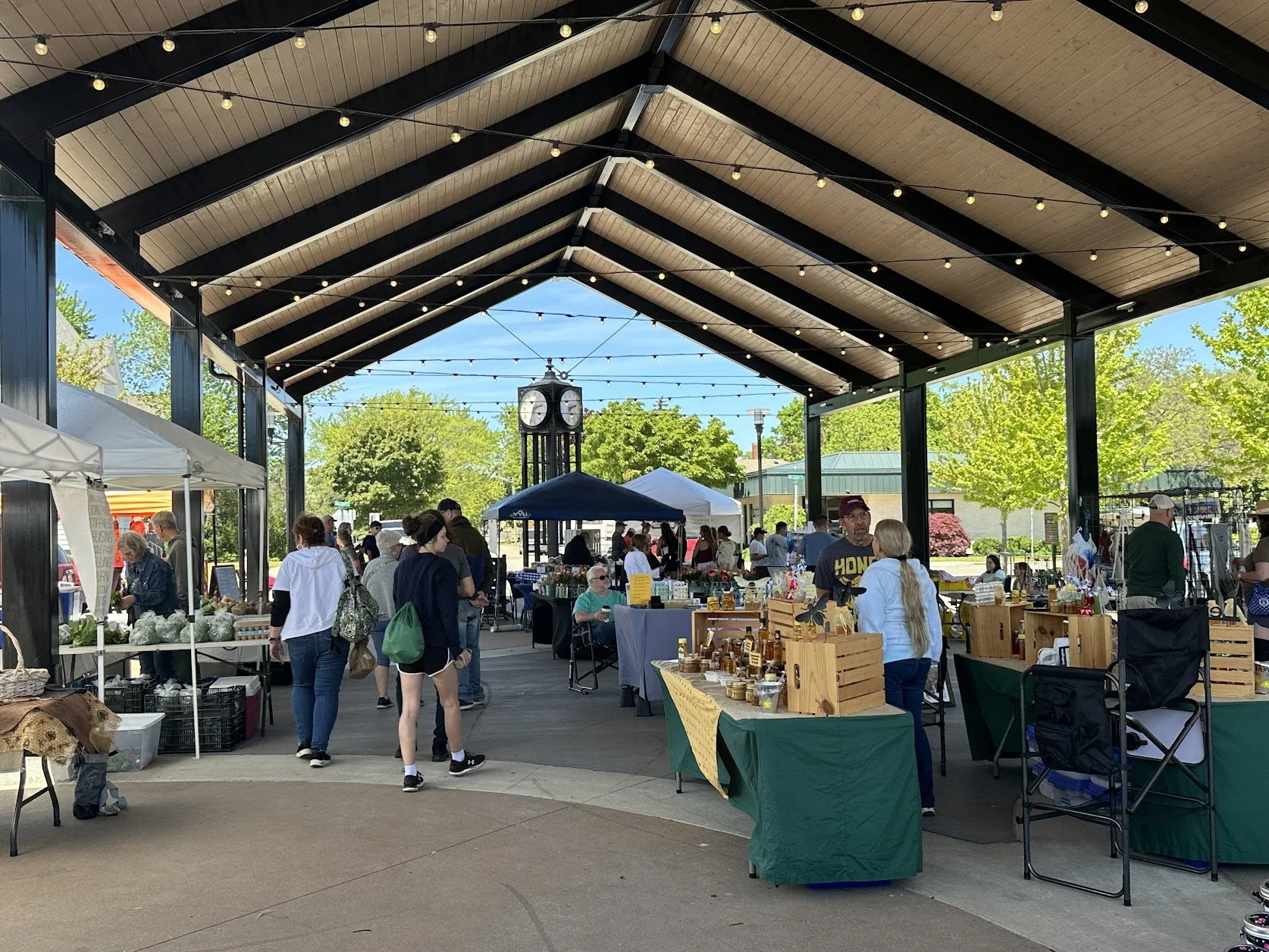 Downtown Ludington Farmers Market